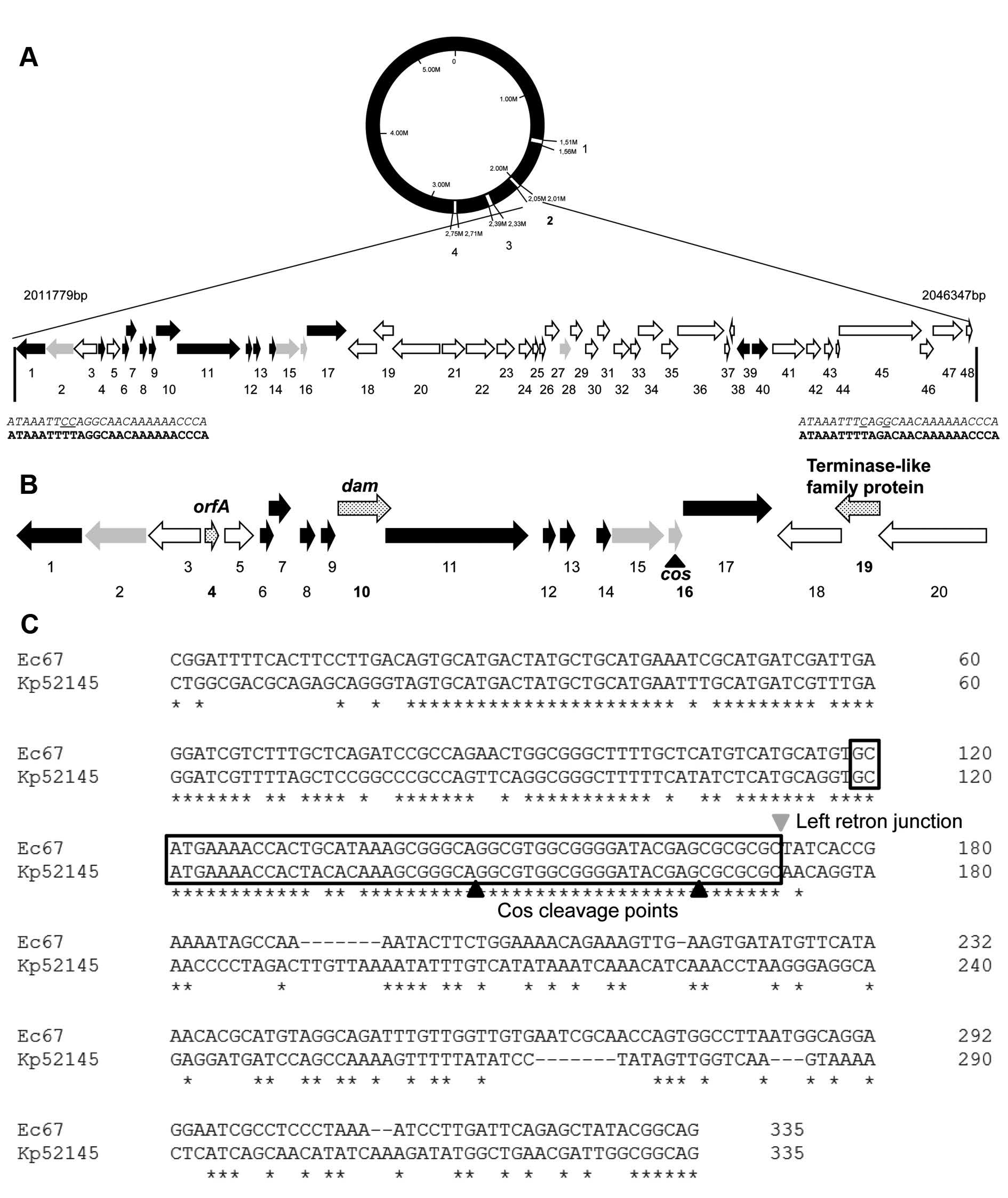 Ijms 22 00649 g003 Ijms 22 00649 g003