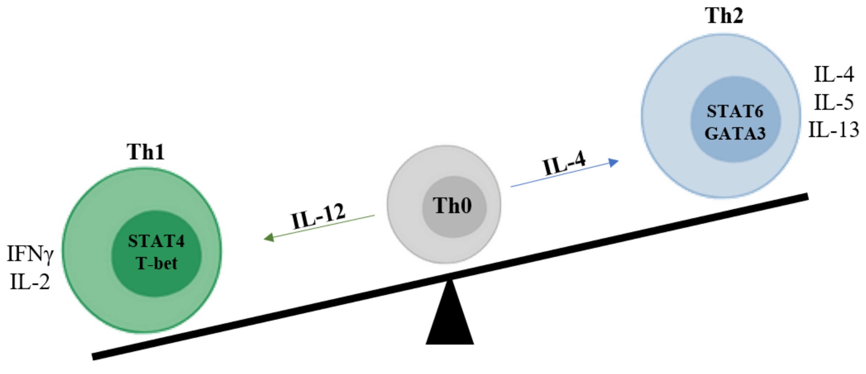 ひろき The Involvement of Innate and Adaptive Immunity in the