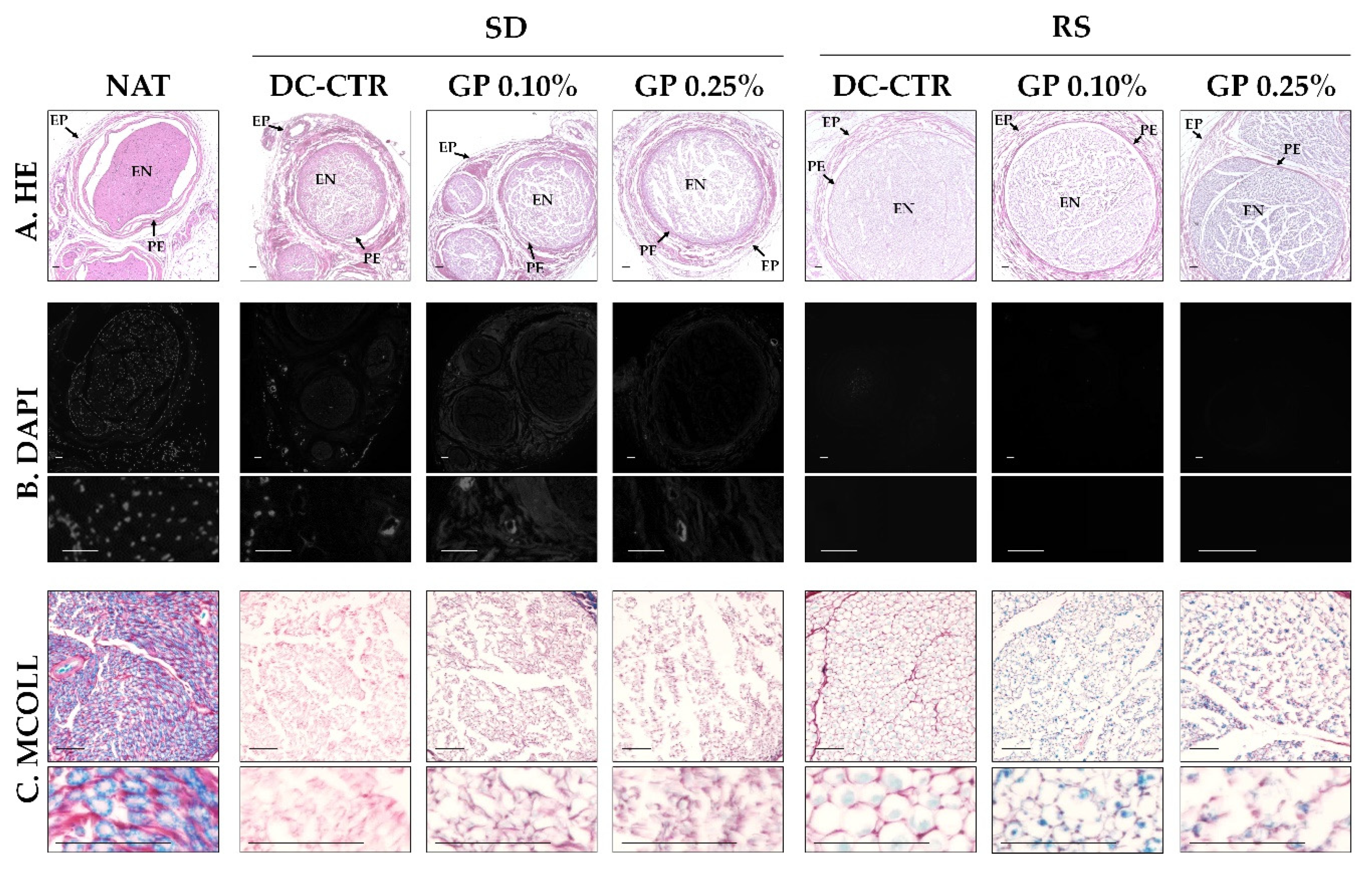 Ijms 22 00674 g001 Ijms 22 00674 g001
