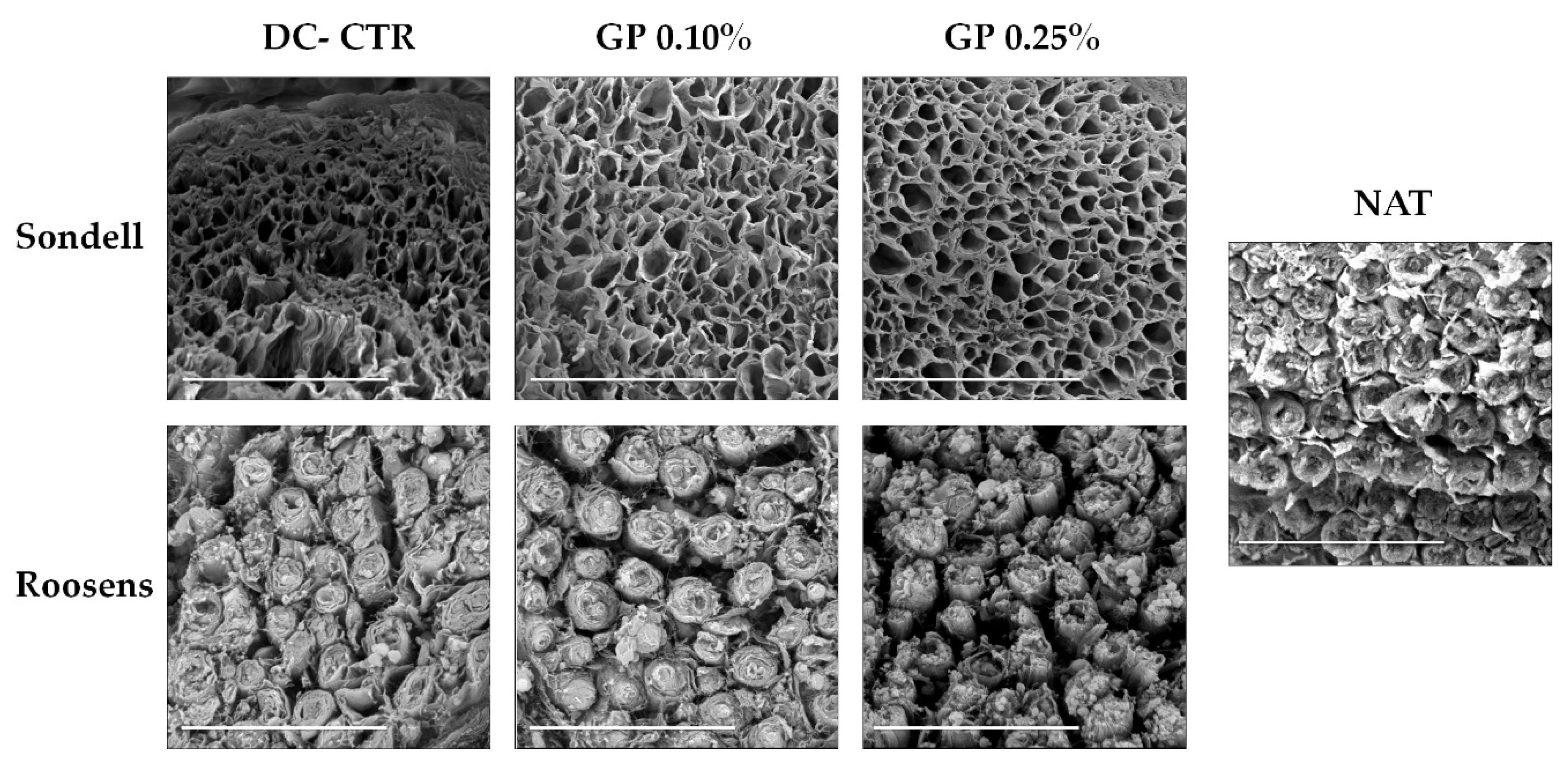 Ijms 22 00674 g002 Ijms 22 00674 g002