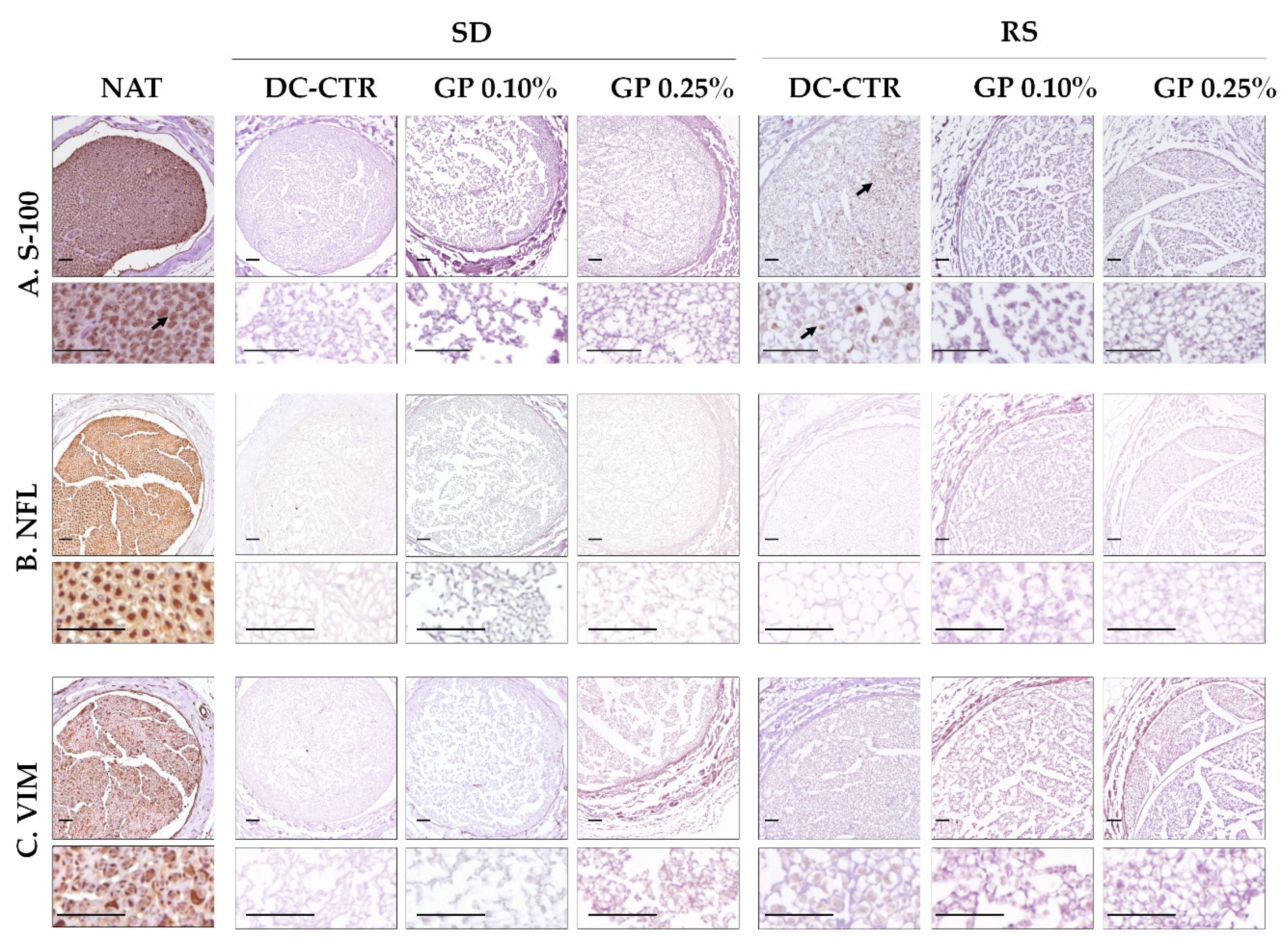 Ijms 22 00674 g003 Ijms 22 00674 g003