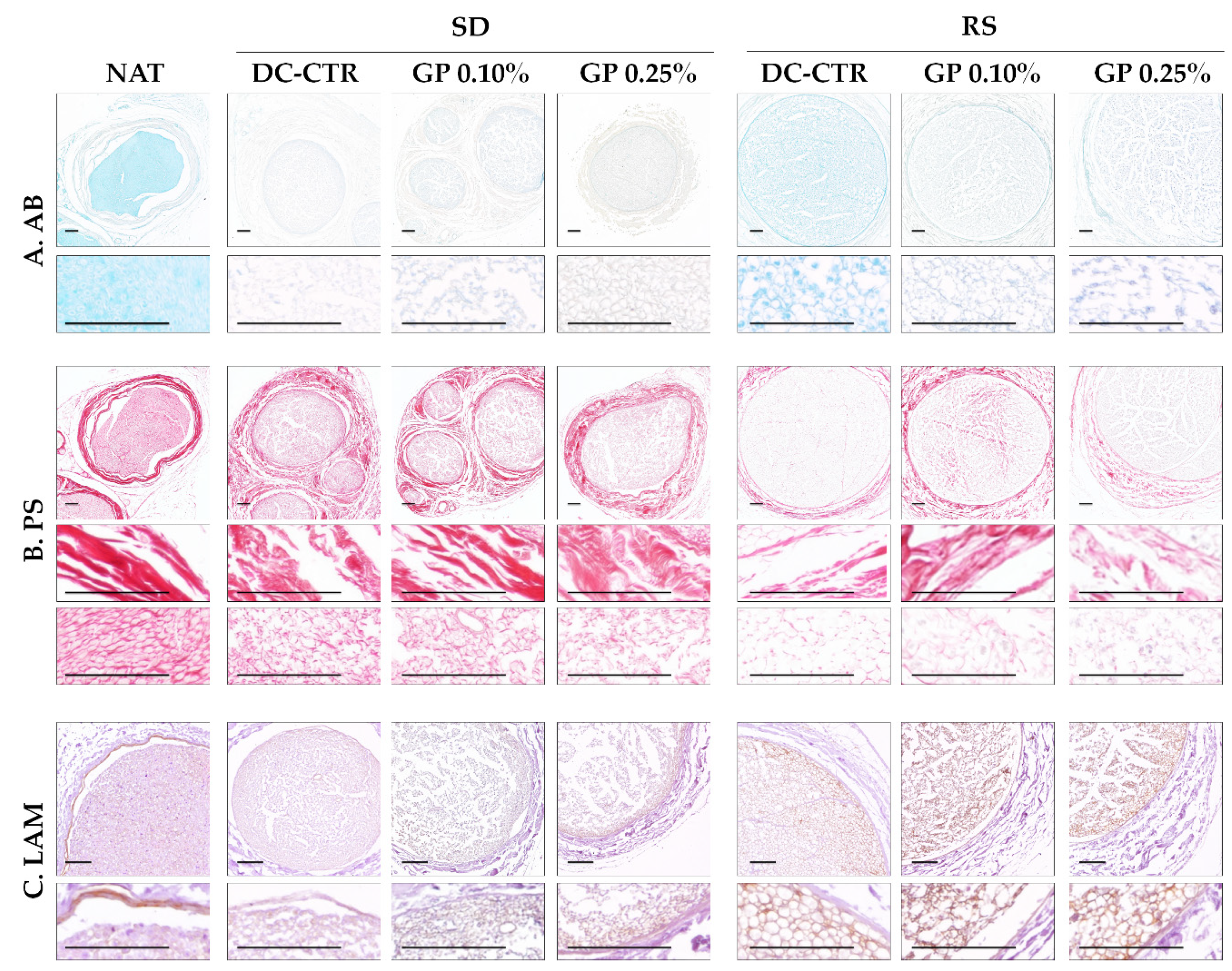 Ijms 22 00674 g004 Ijms 22 00674 g004