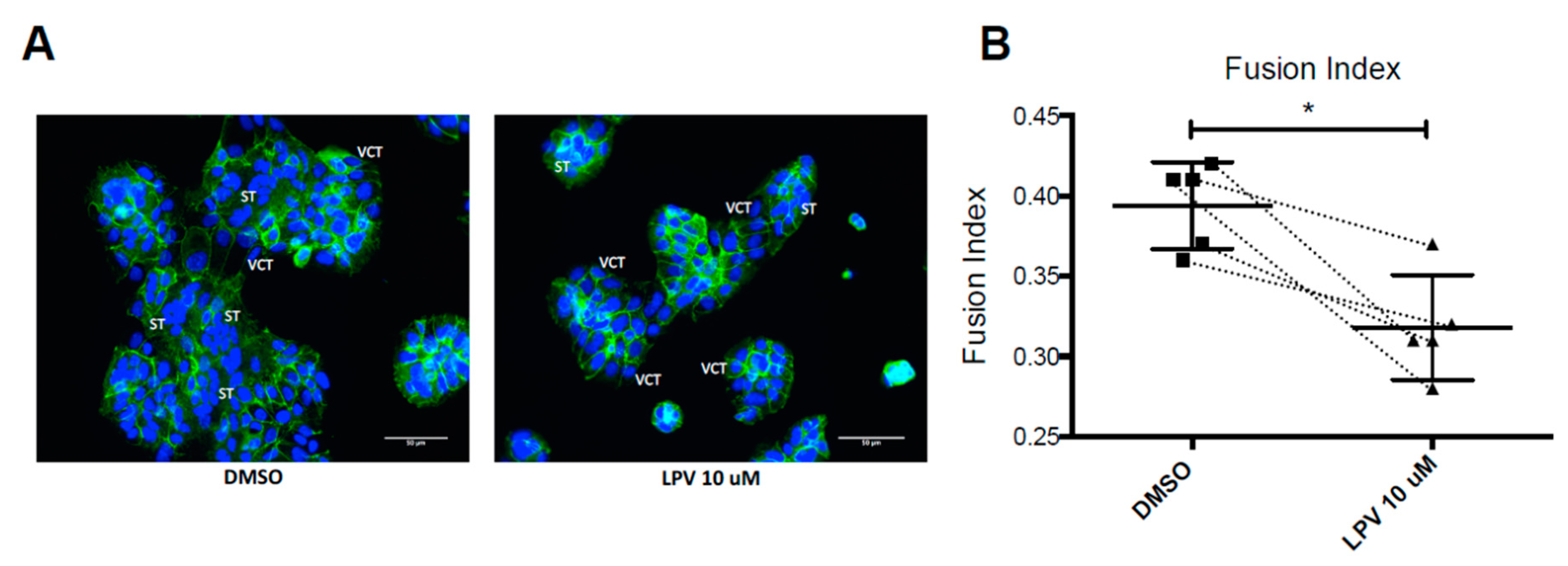 Ijms 22 00683 g002 Ijms 22 00683 g002
