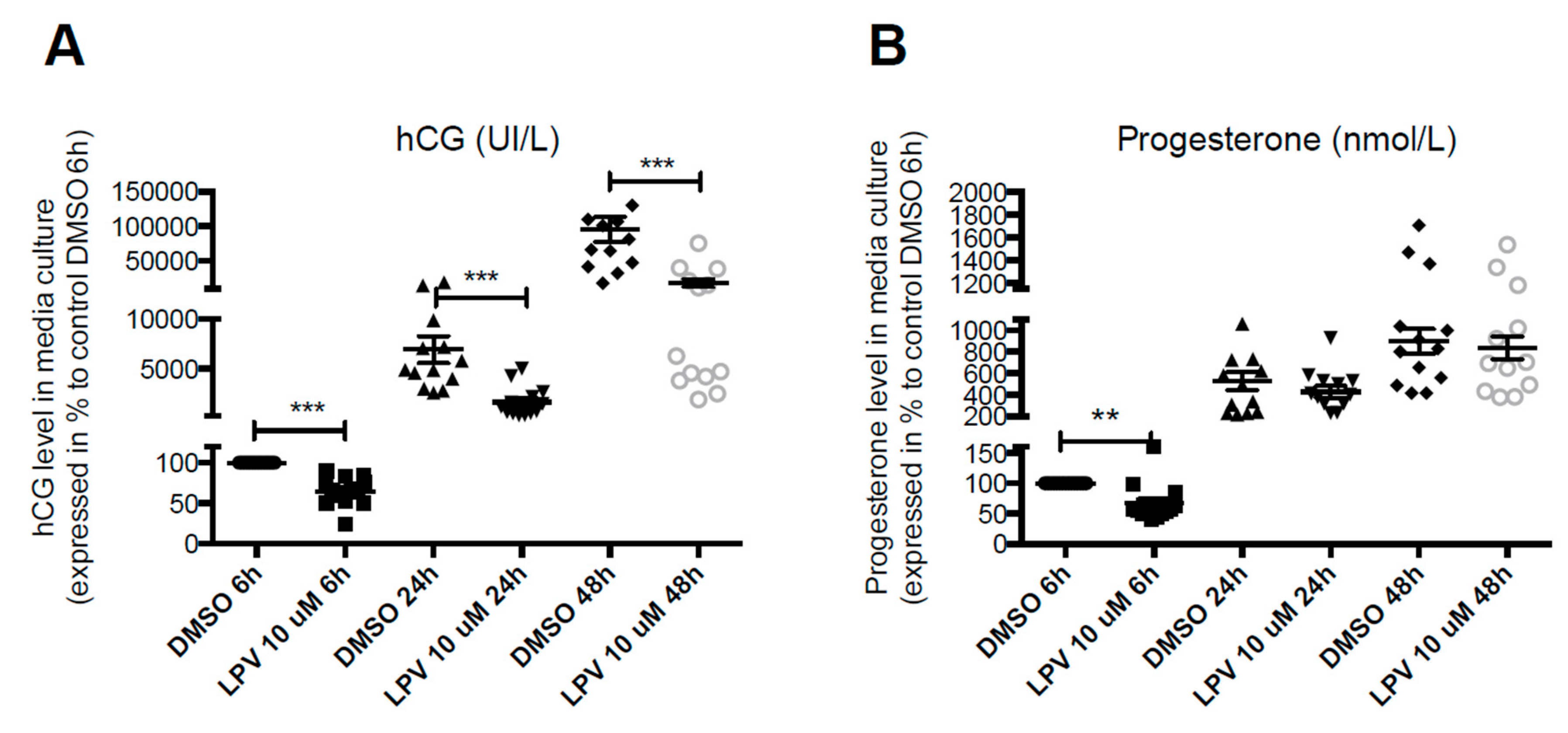 Ijms 22 00683 g003 Ijms 22 00683 g003