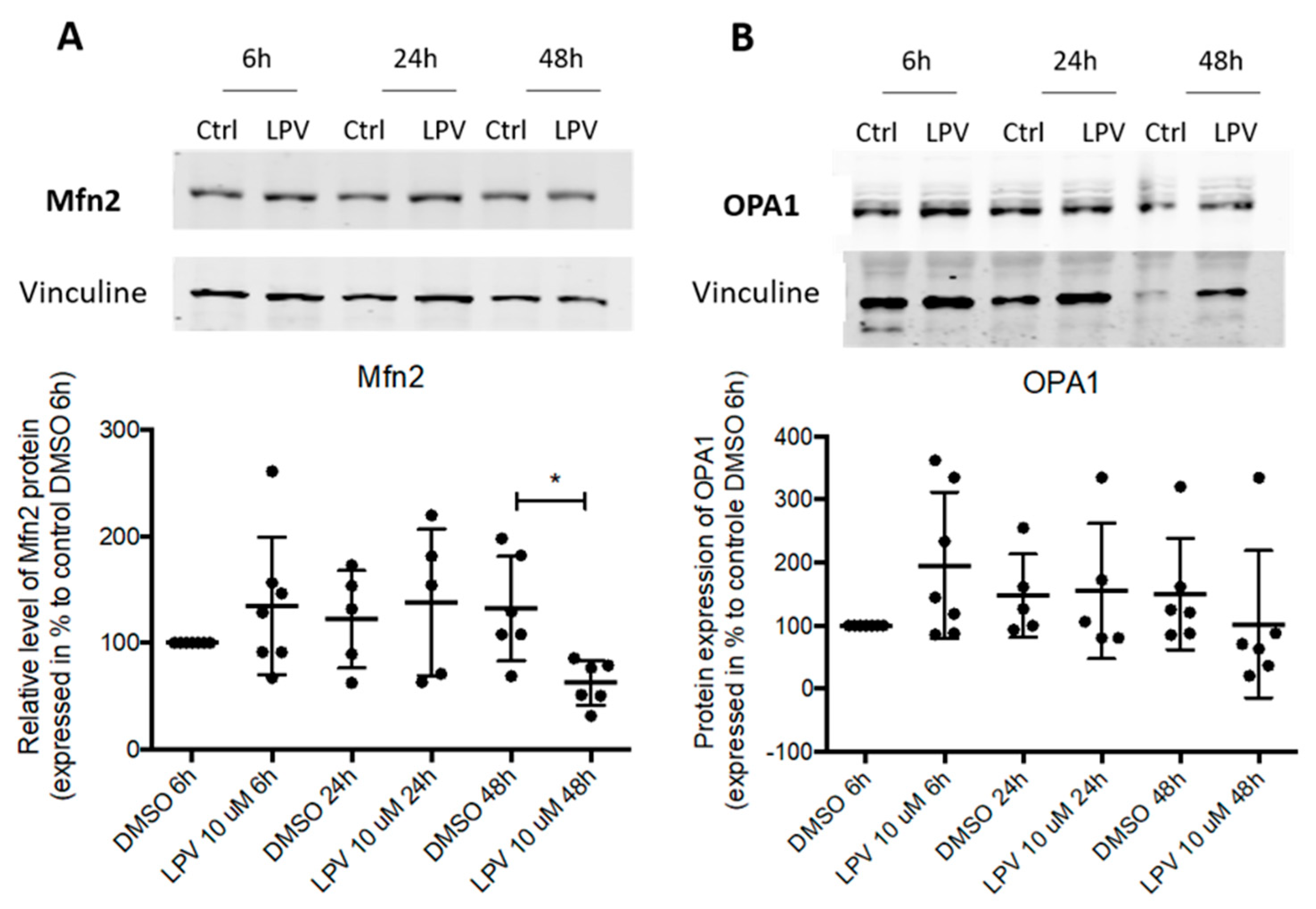 Ijms 22 00683 g006 Ijms 22 00683 g006
