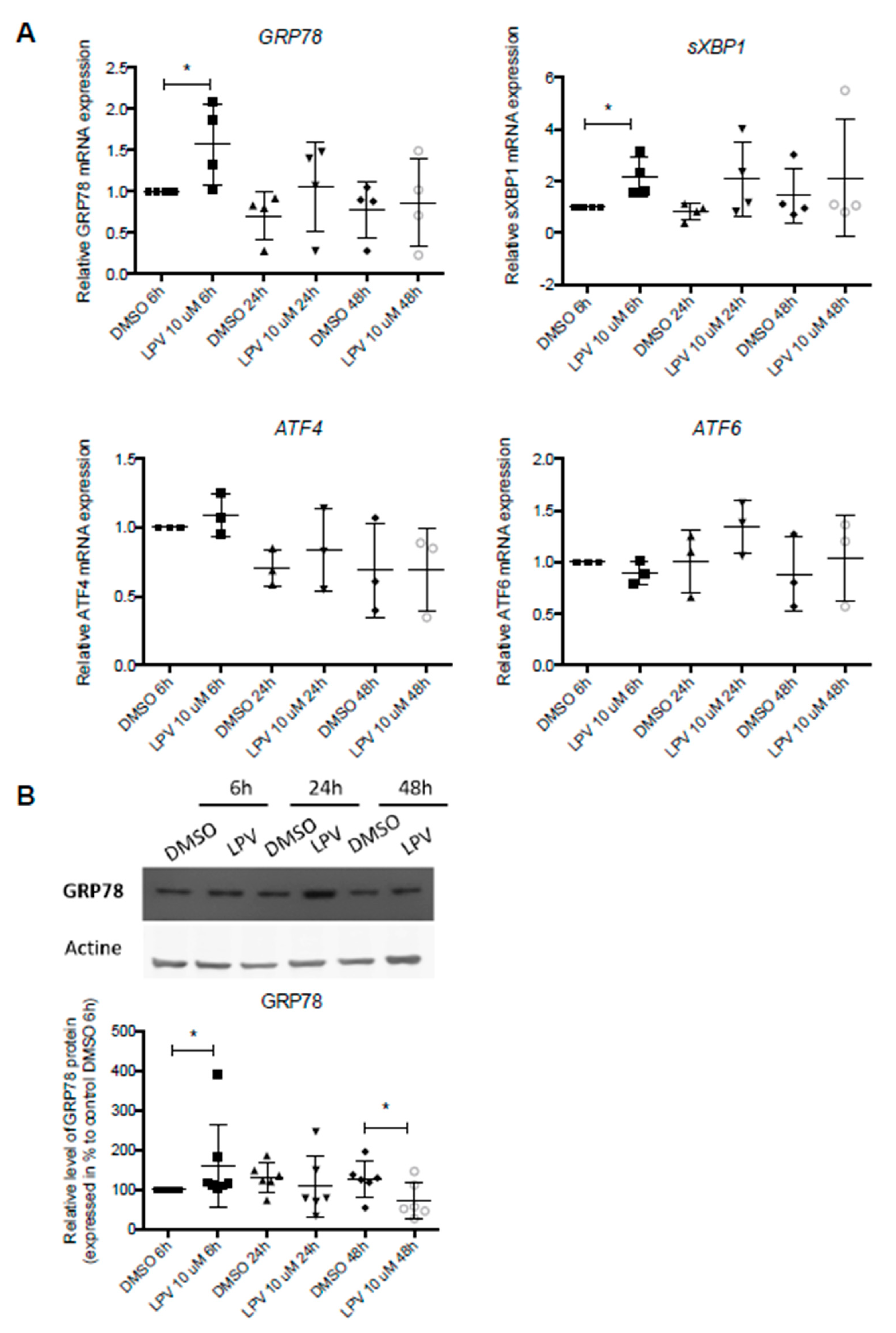 Ijms 22 00683 g008 Ijms 22 00683 g008