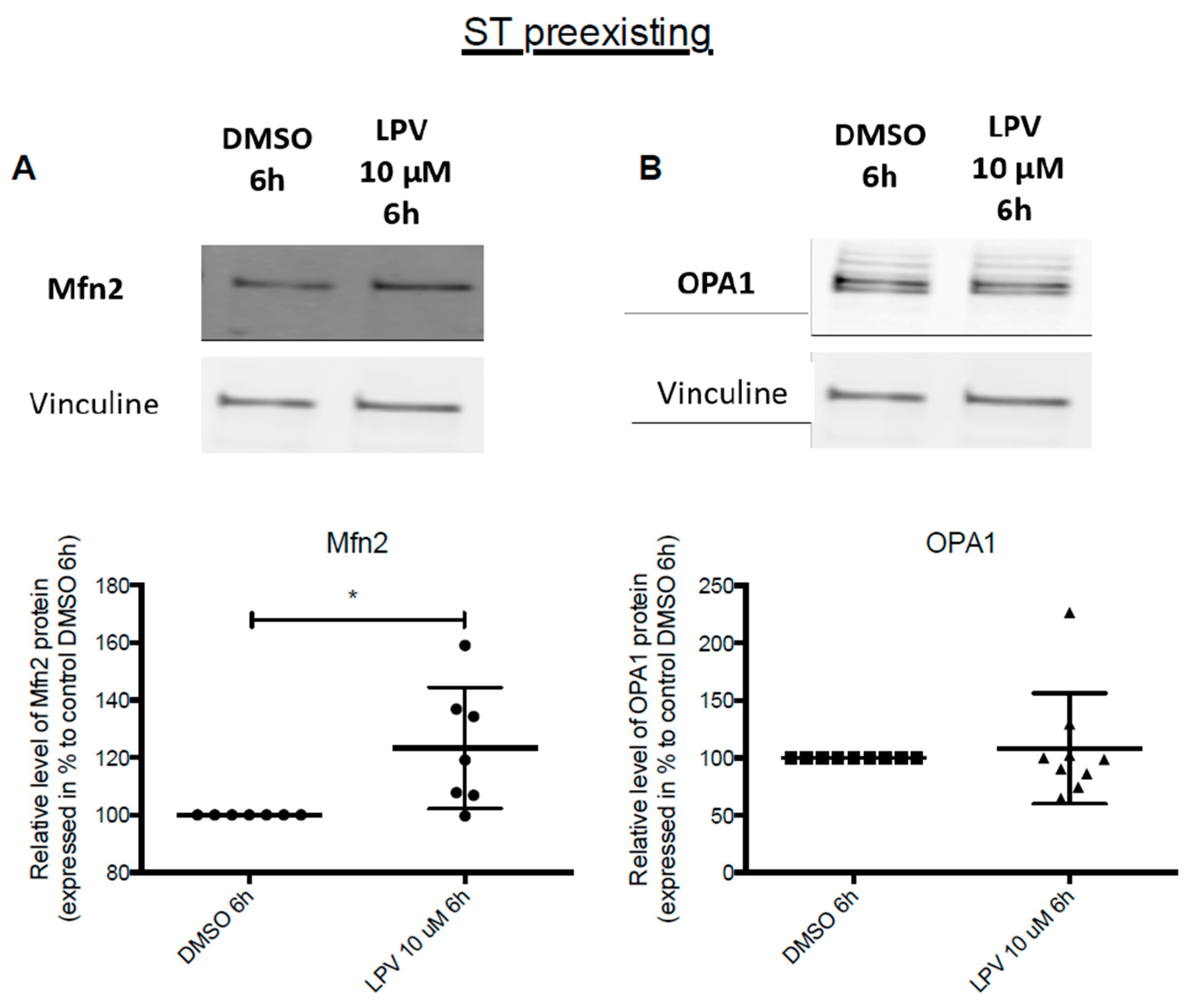 Ijms 22 00683 g011 Ijms 22 00683 g011