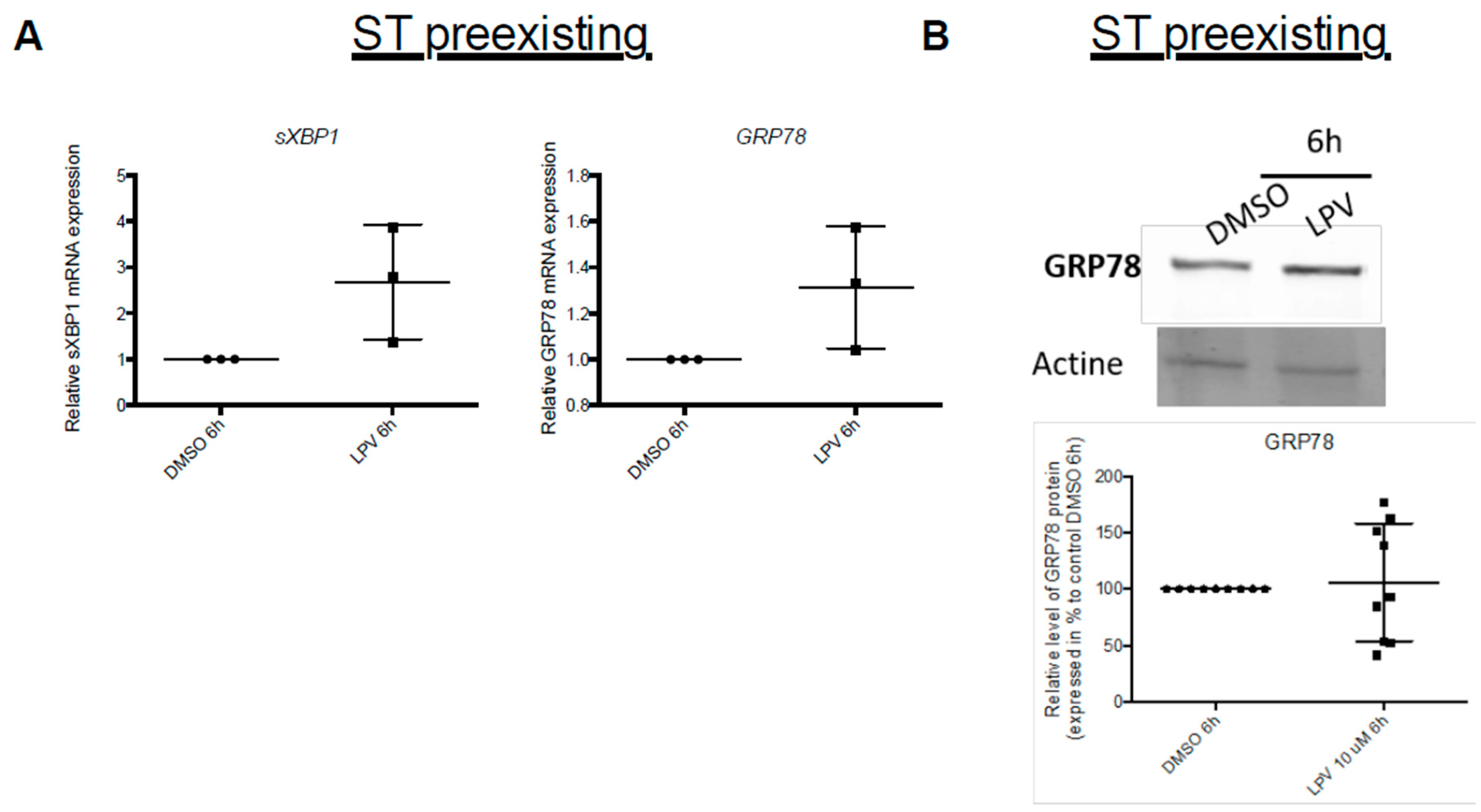 Ijms 22 00683 g012 Ijms 22 00683 g012