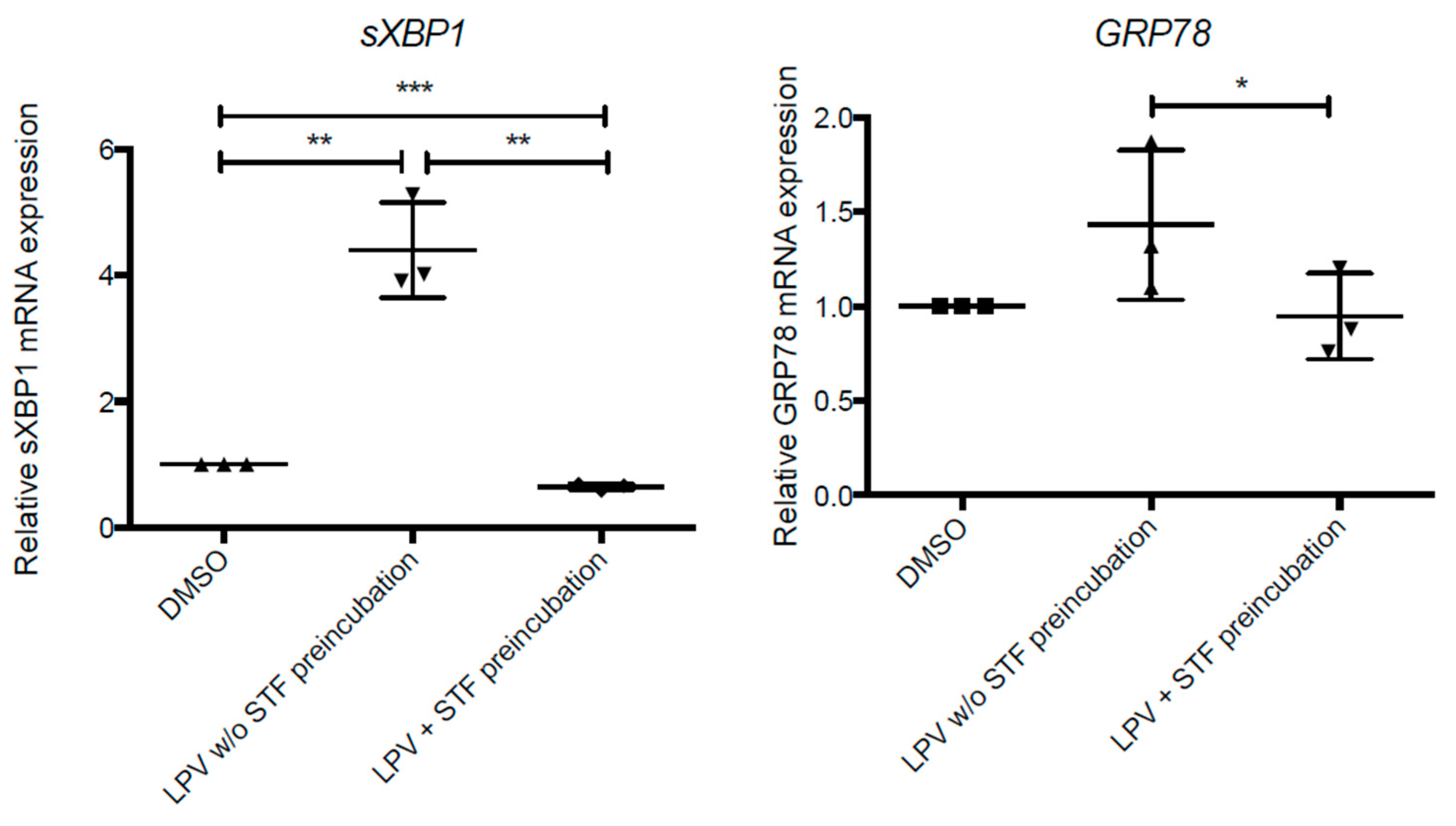 Ijms 22 00683 g013 Ijms 22 00683 g013