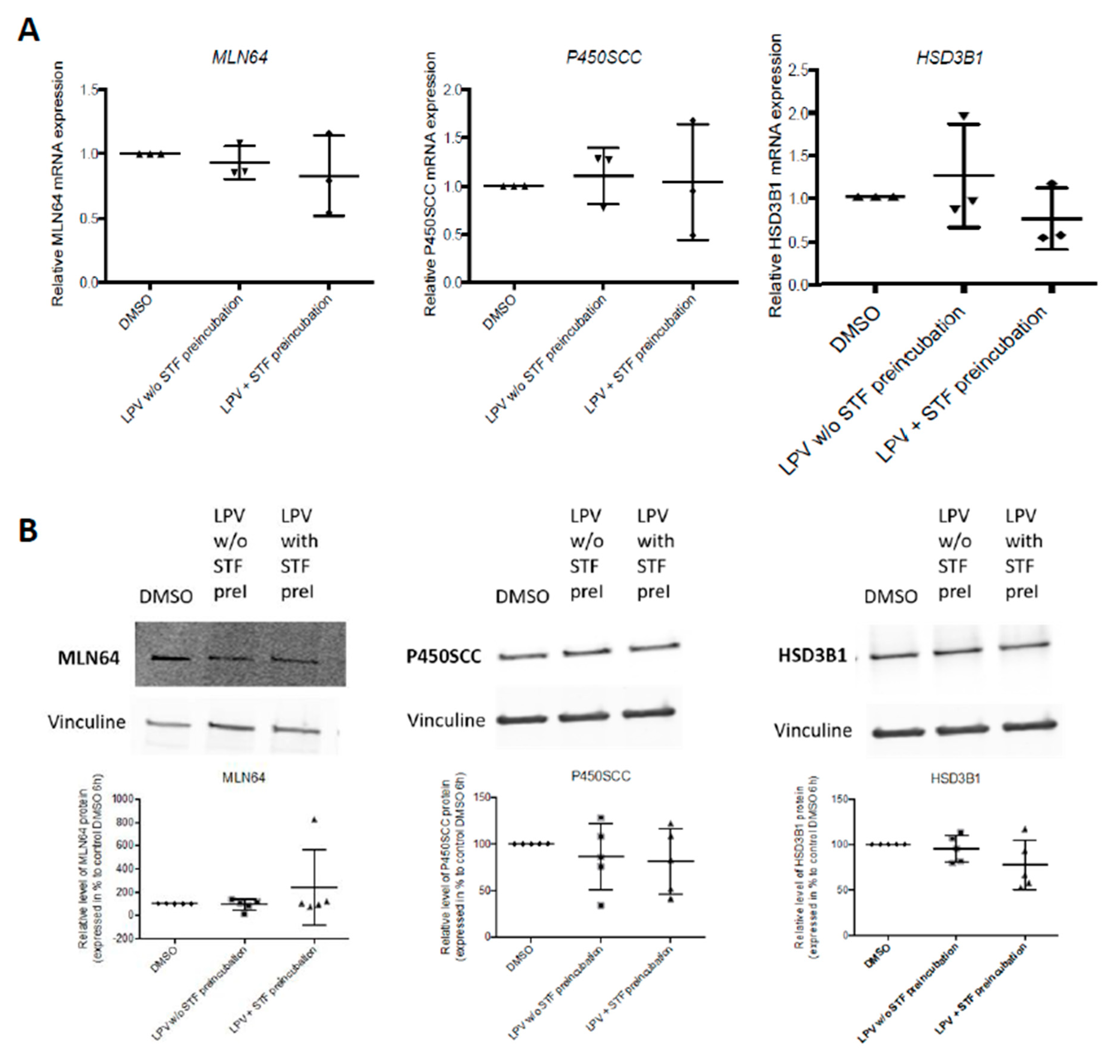 Ijms 22 00683 g015 Ijms 22 00683 g015