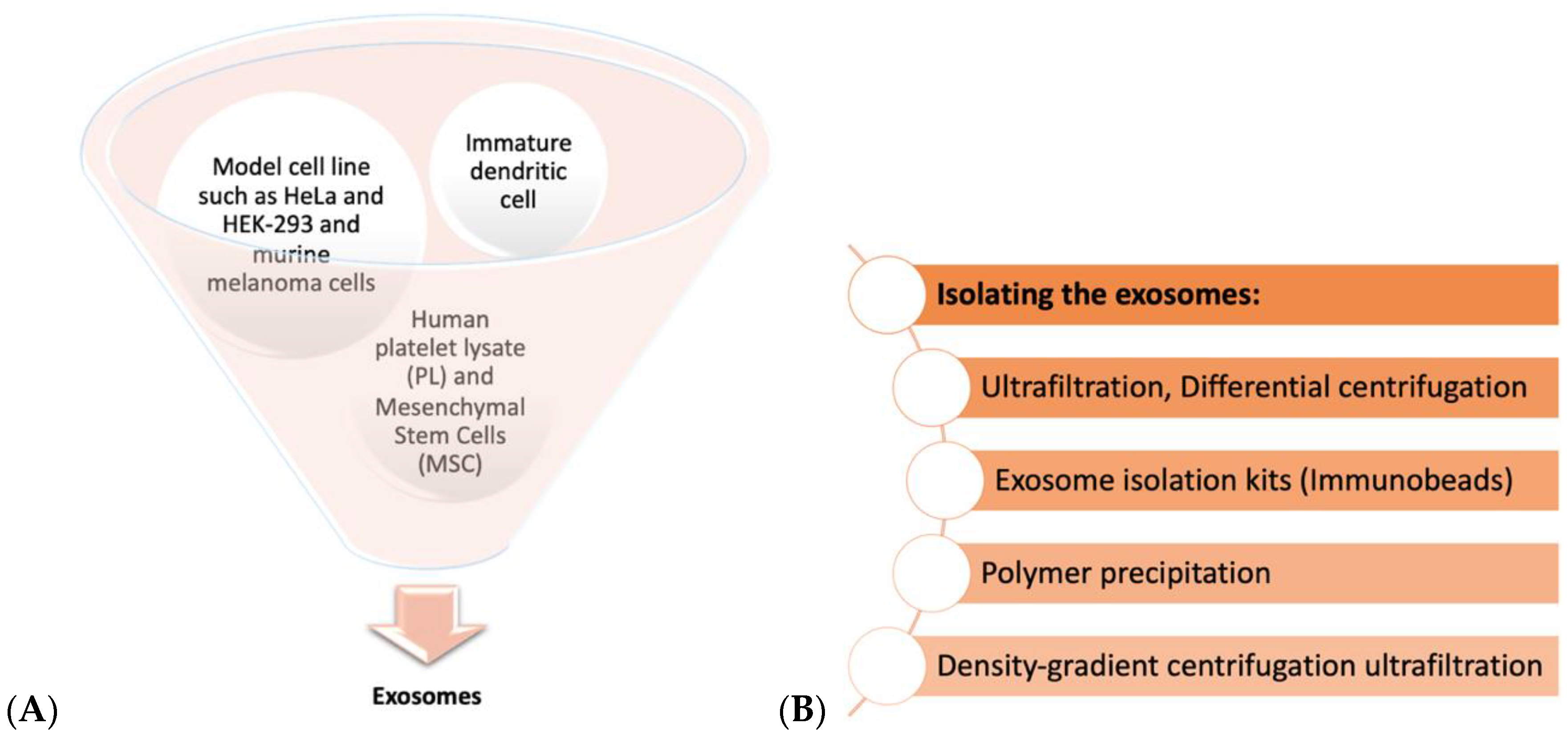 Ijms 22 00684 g003 Ijms 22 00684 g003