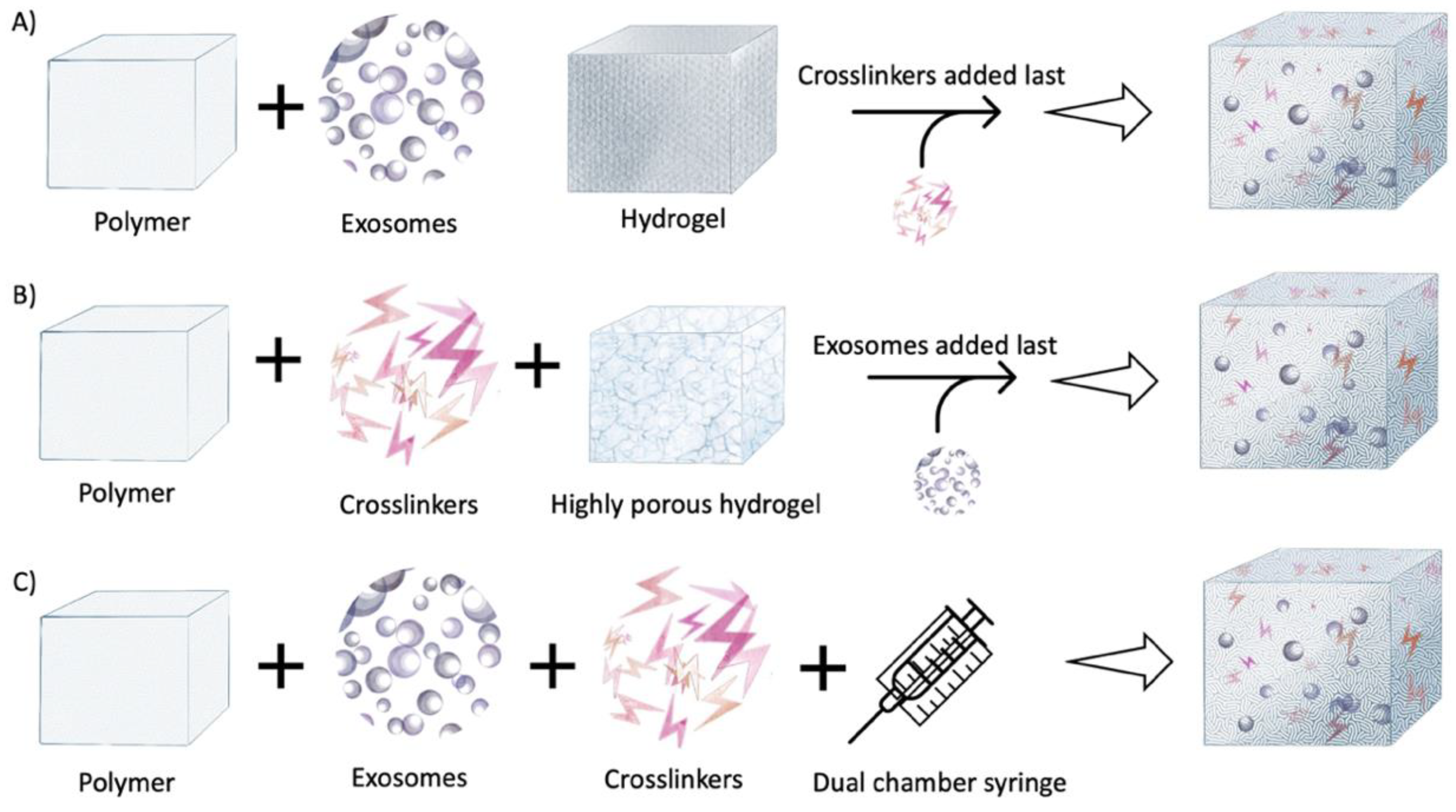 Ijms 22 00684 g005 Ijms 22 00684 g005