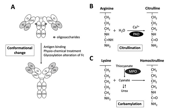 Ijms 22 00686 g002 550