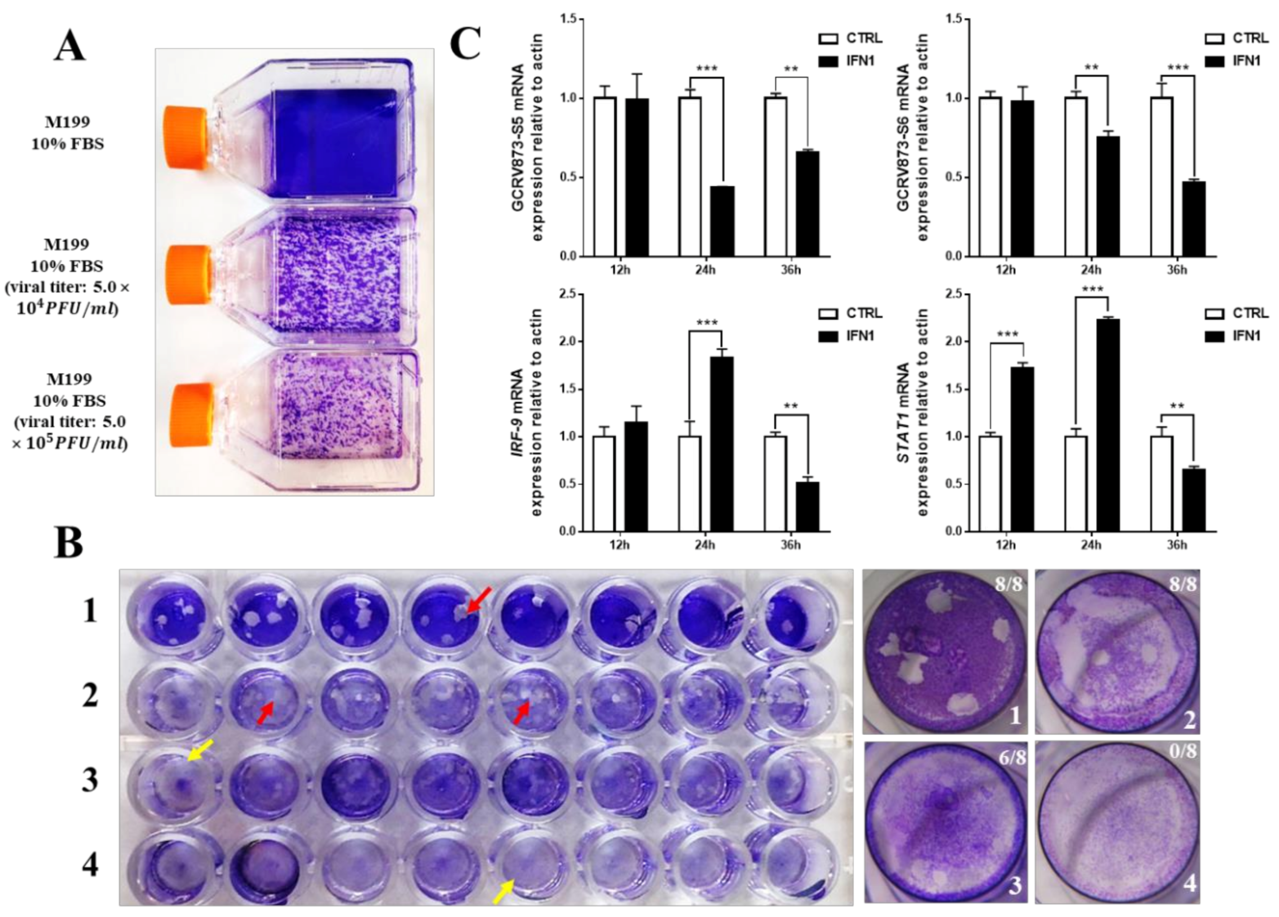 Ijms 22 00687 g002 Ijms 22 00687 g002