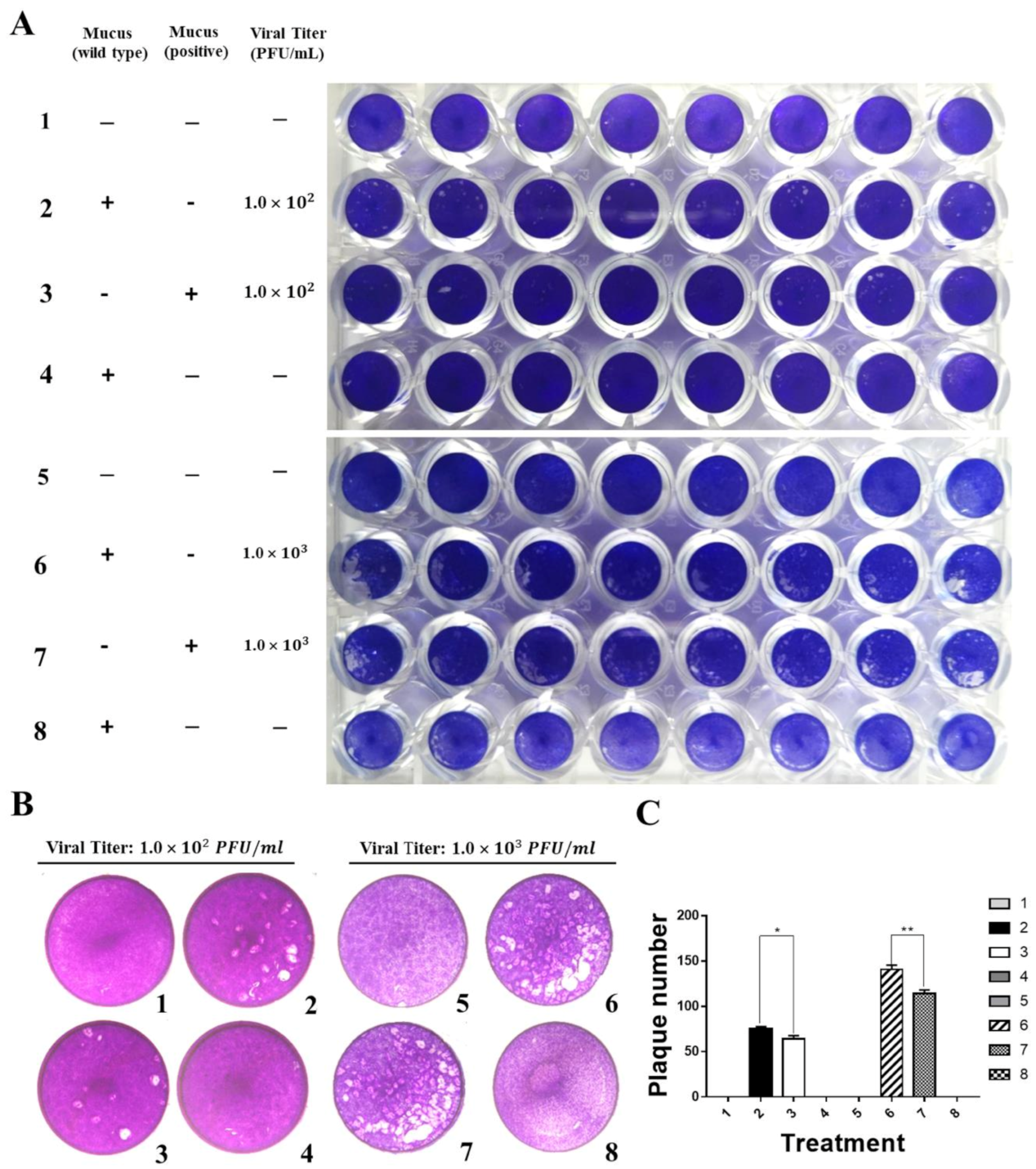 Ijms 22 00687 g005 Ijms 22 00687 g005