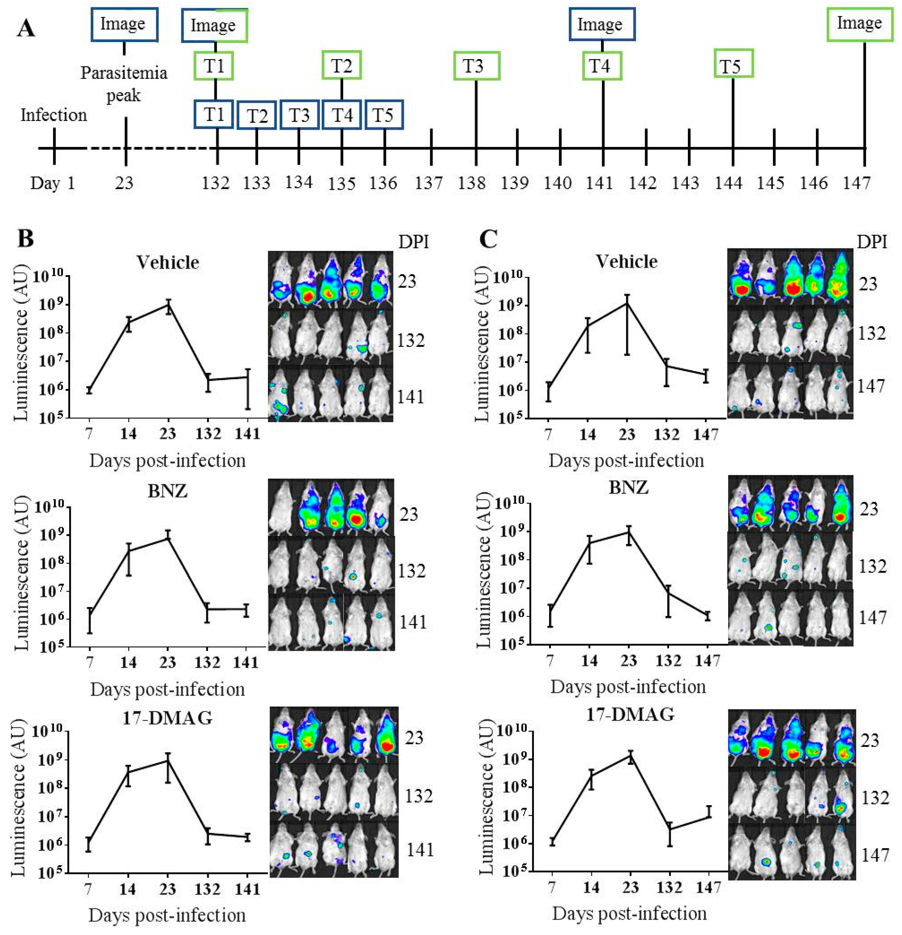 Ijms 22 00688 g006 Ijms 22 00688 g006