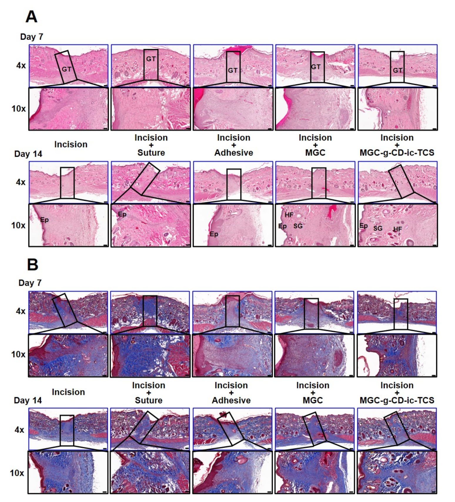 Ijms 22 00700 g008 Ijms 22 00700 g008