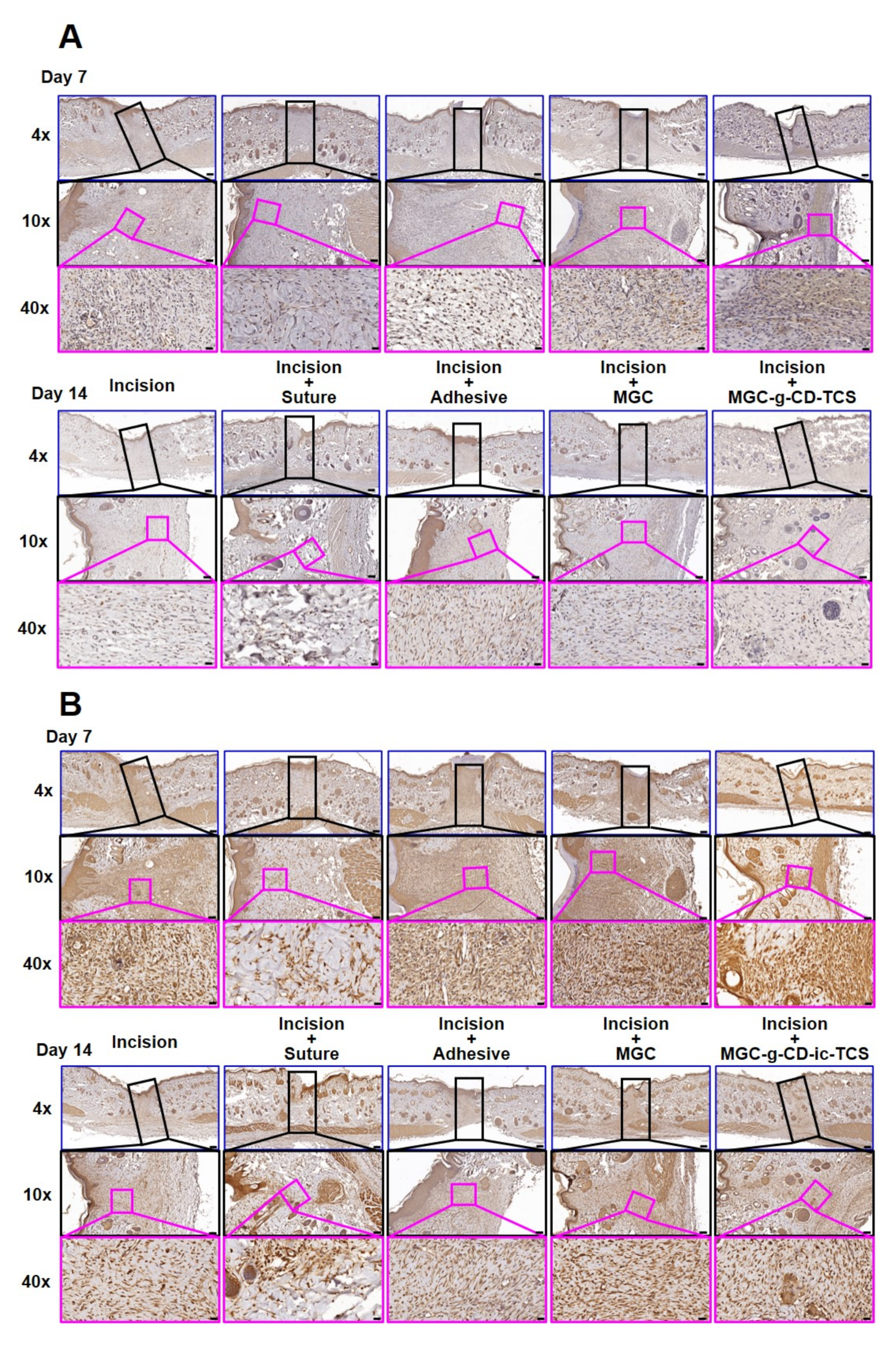 Ijms 22 00700 g009 Ijms 22 00700 g009