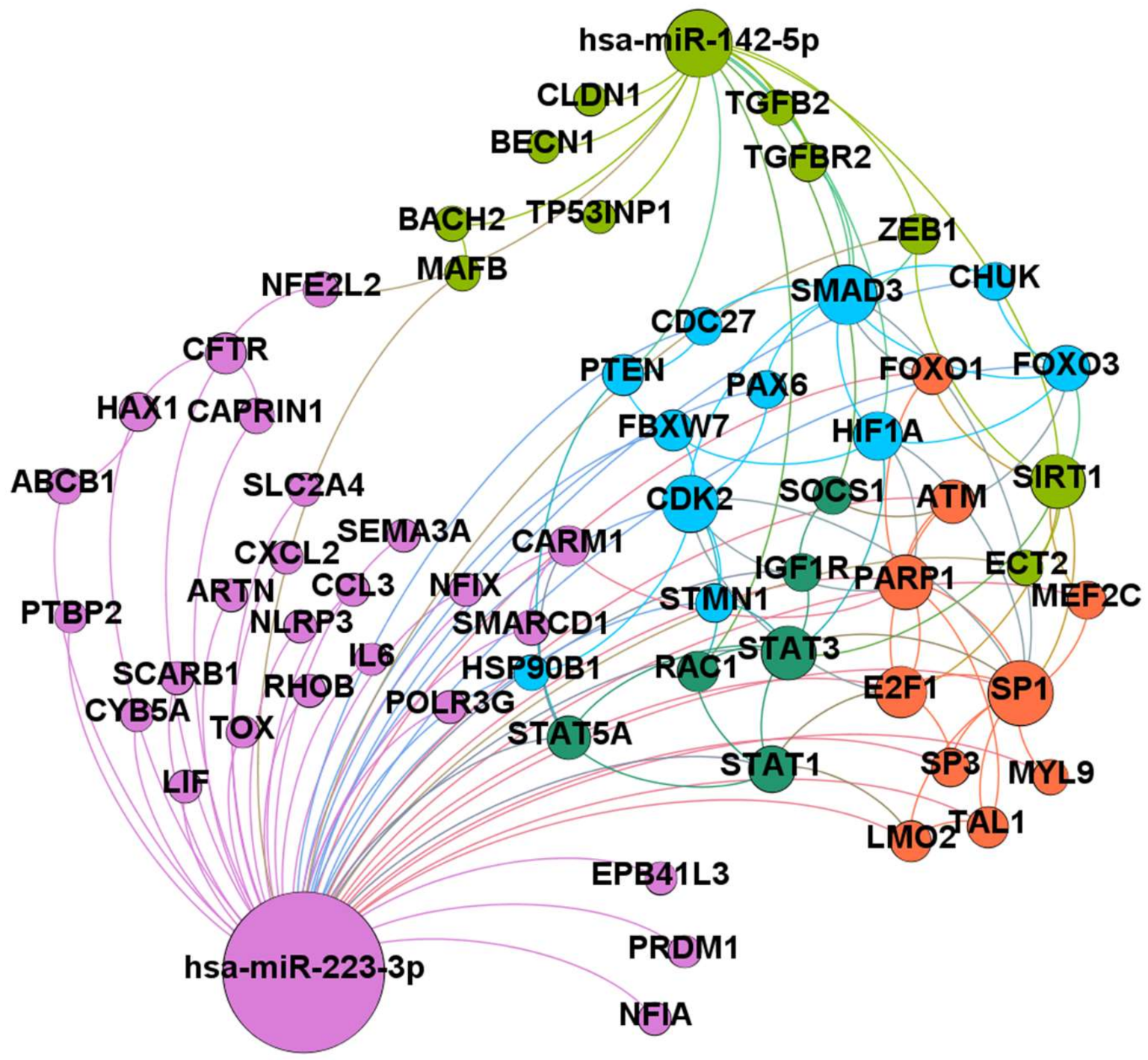 Ijms 22 00702 g004 Ijms 22 00702 g004