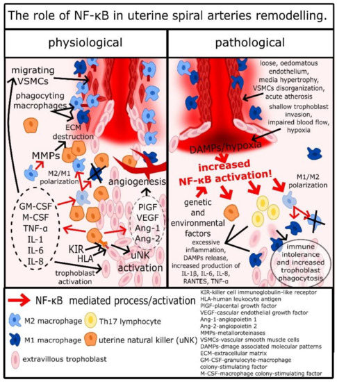 Ijms 22 00704 g001 550