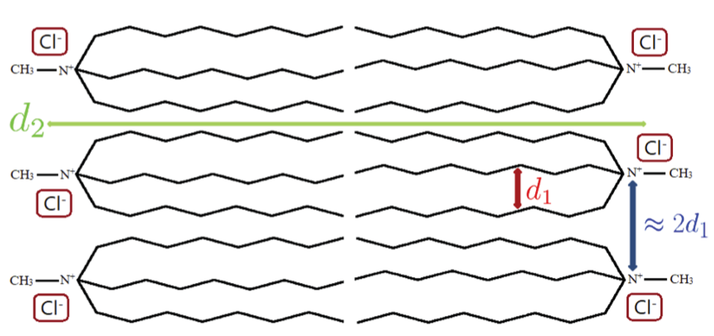 Ijms 22 00706 g003 Ijms 22 00706 g003