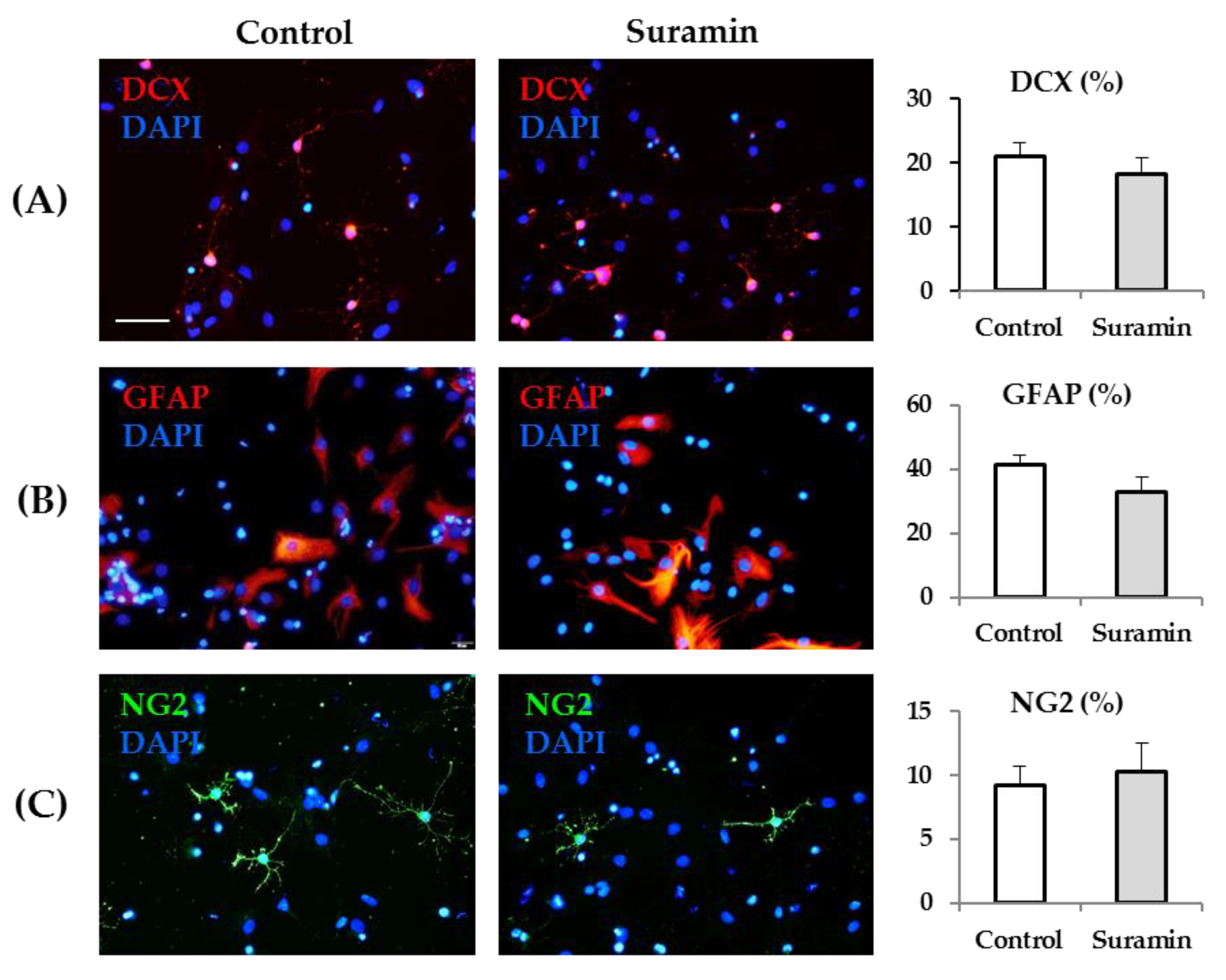 Ijms 22 00713 g005 Ijms 22 00713 g005