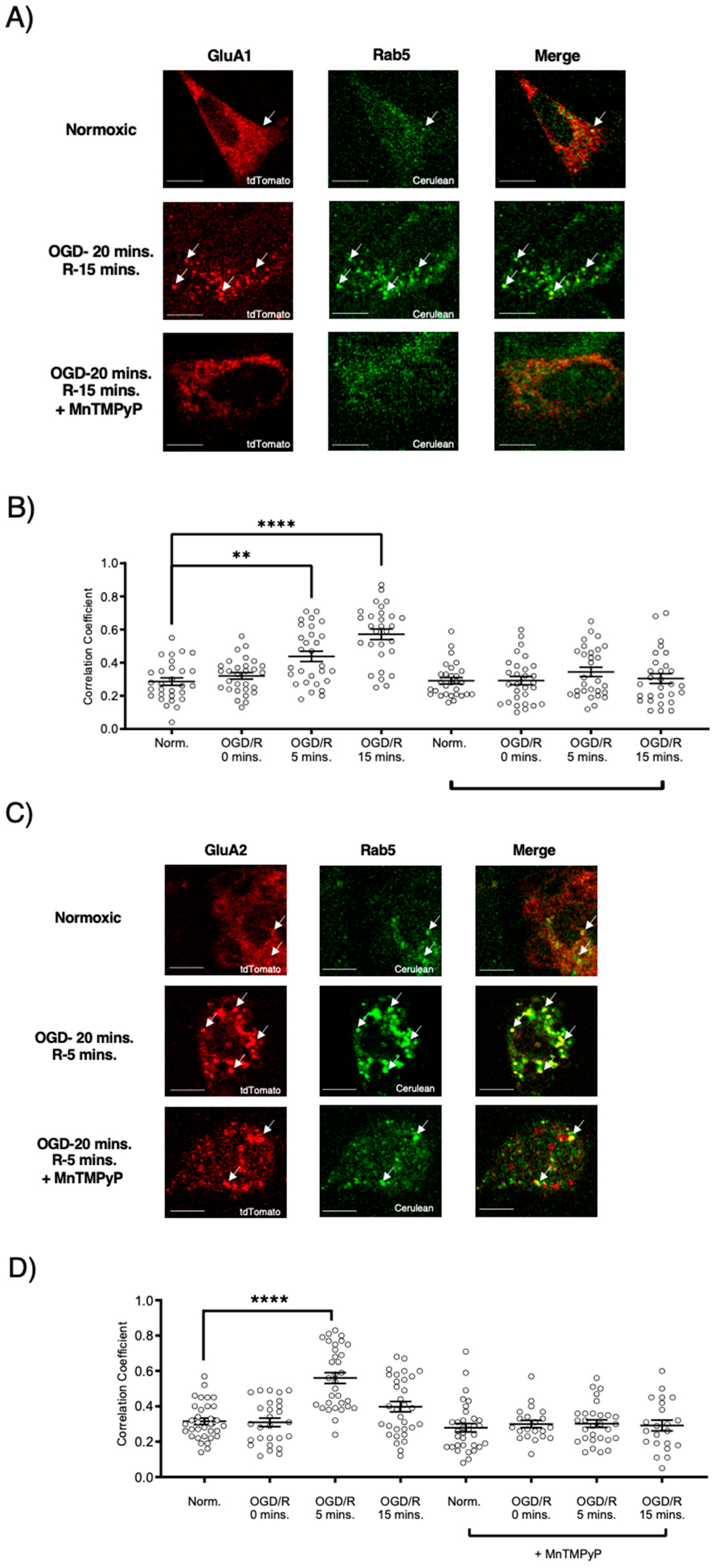 Ijms 22 00717 g004 Ijms 22 00717 g004