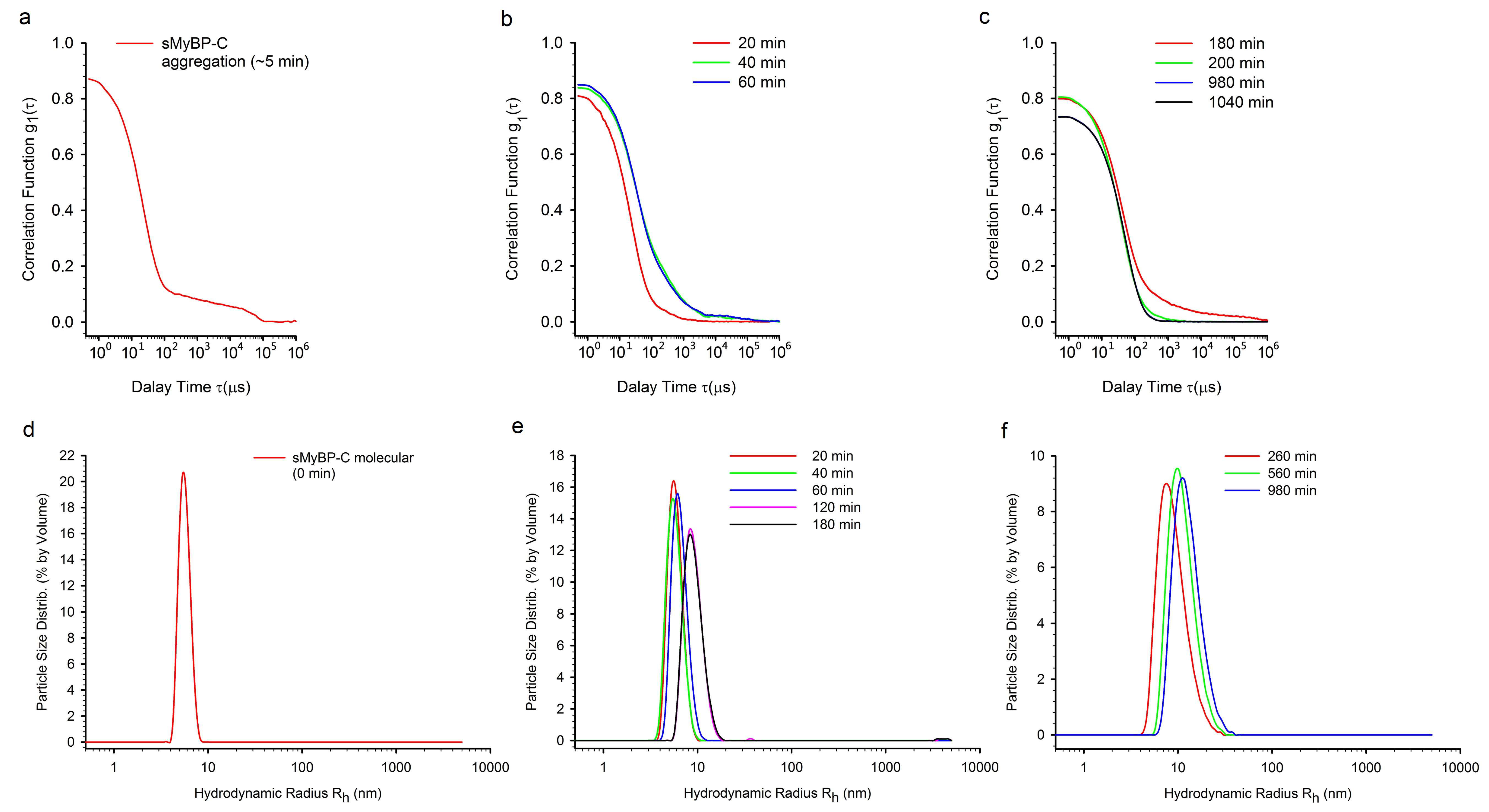 Ijms 22 00731 g003 Ijms 22 00731 g003