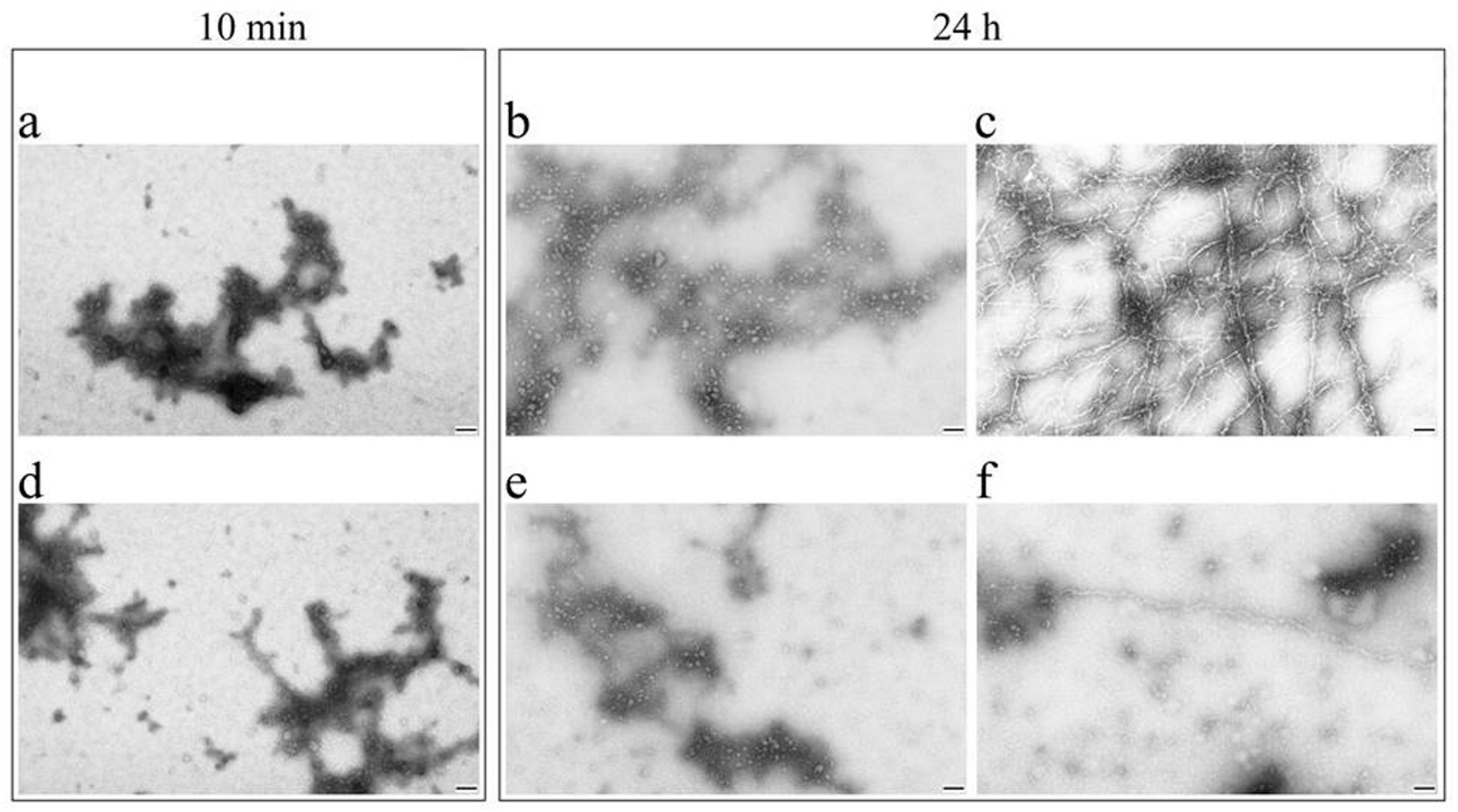 Ijms 22 00731 g004 Ijms 22 00731 g004