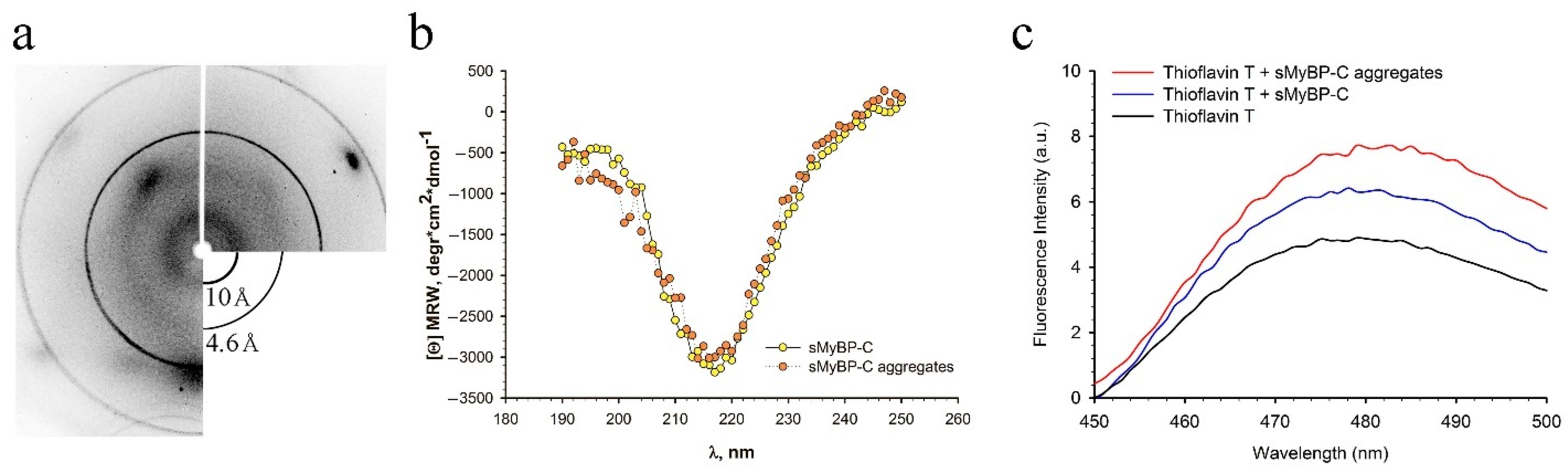 Ijms 22 00731 g006 Ijms 22 00731 g006