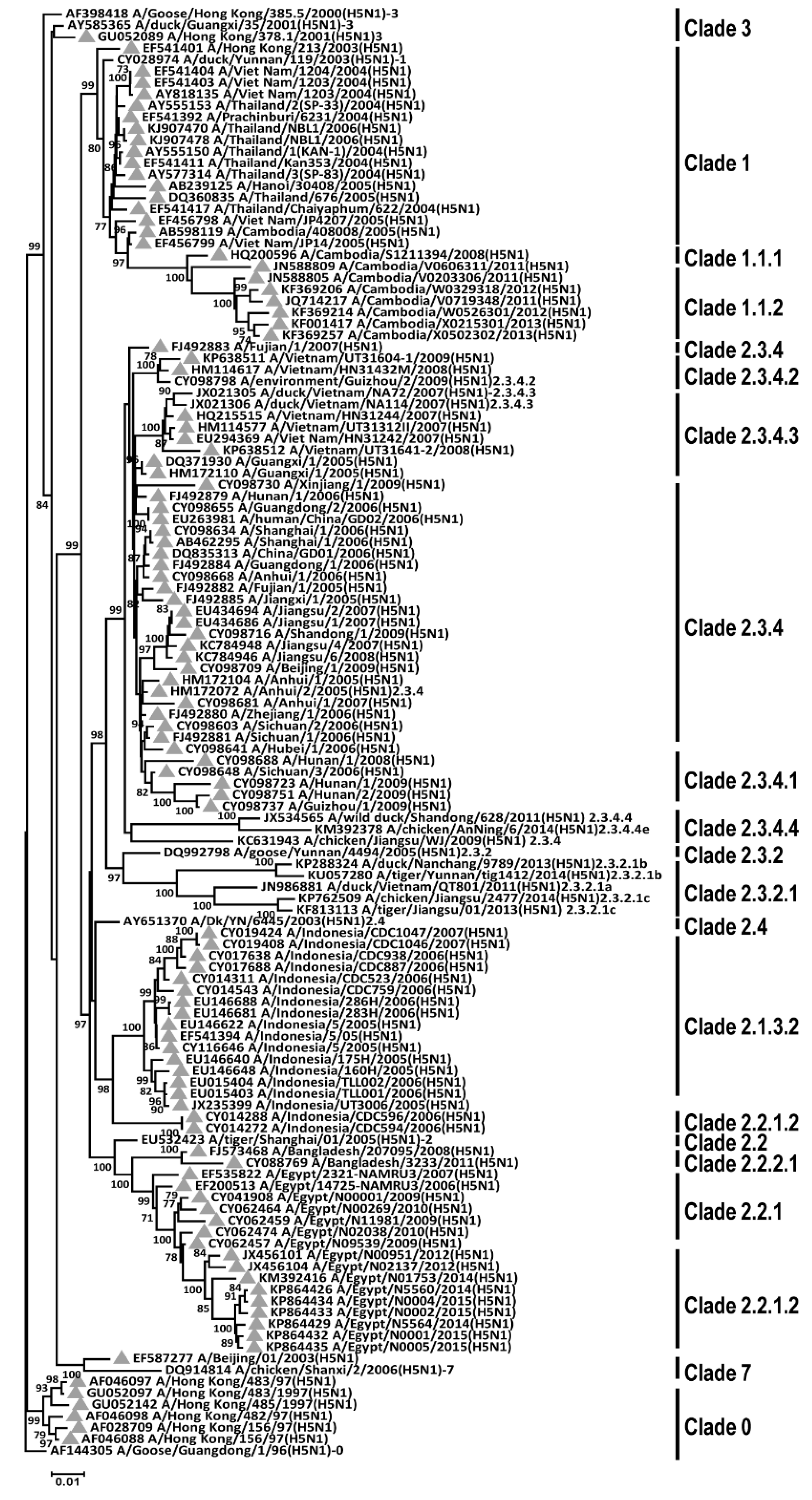 Ijms 22 00743 g001 Ijms 22 00743 g001