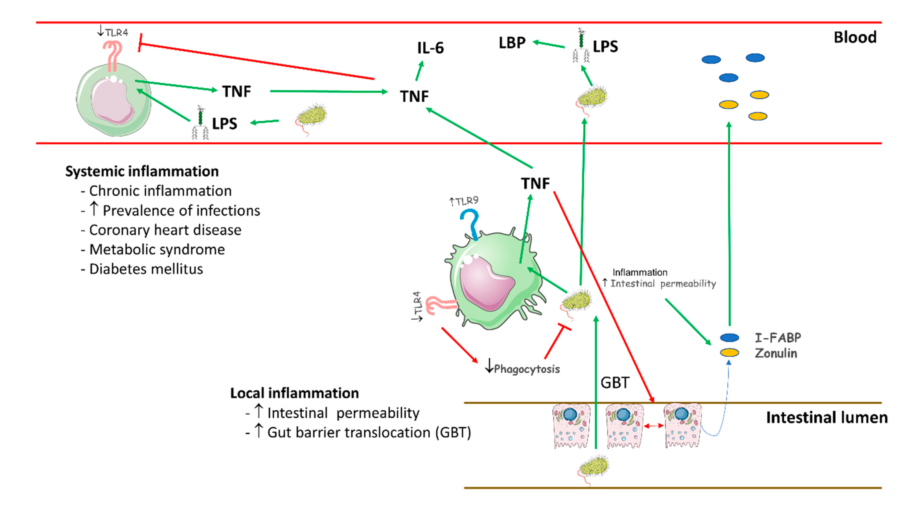 Ijms 22 00744 g008 Ijms 22 00744 g008