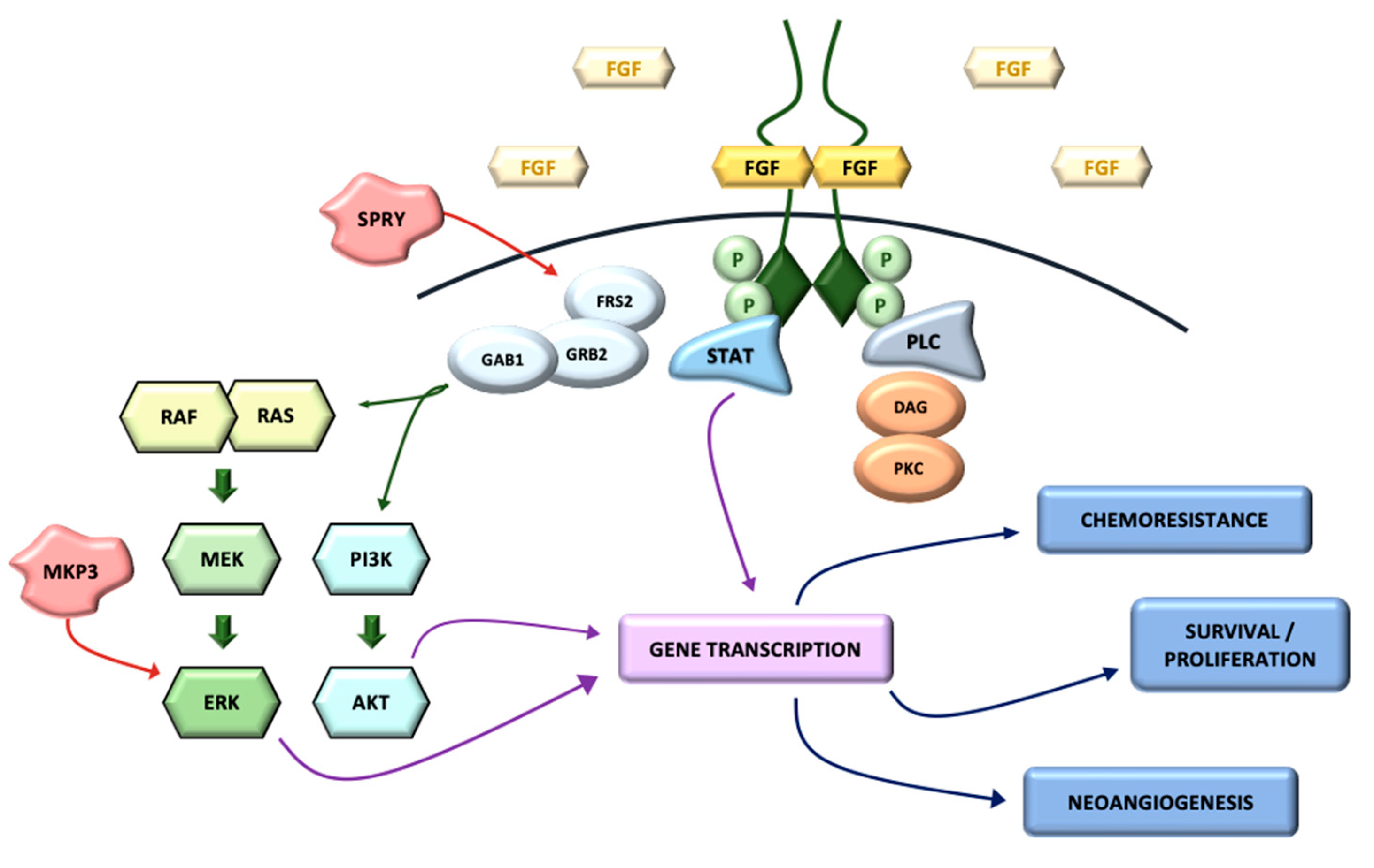 Ijms 22 00747 g002 Ijms 22 00747 g002