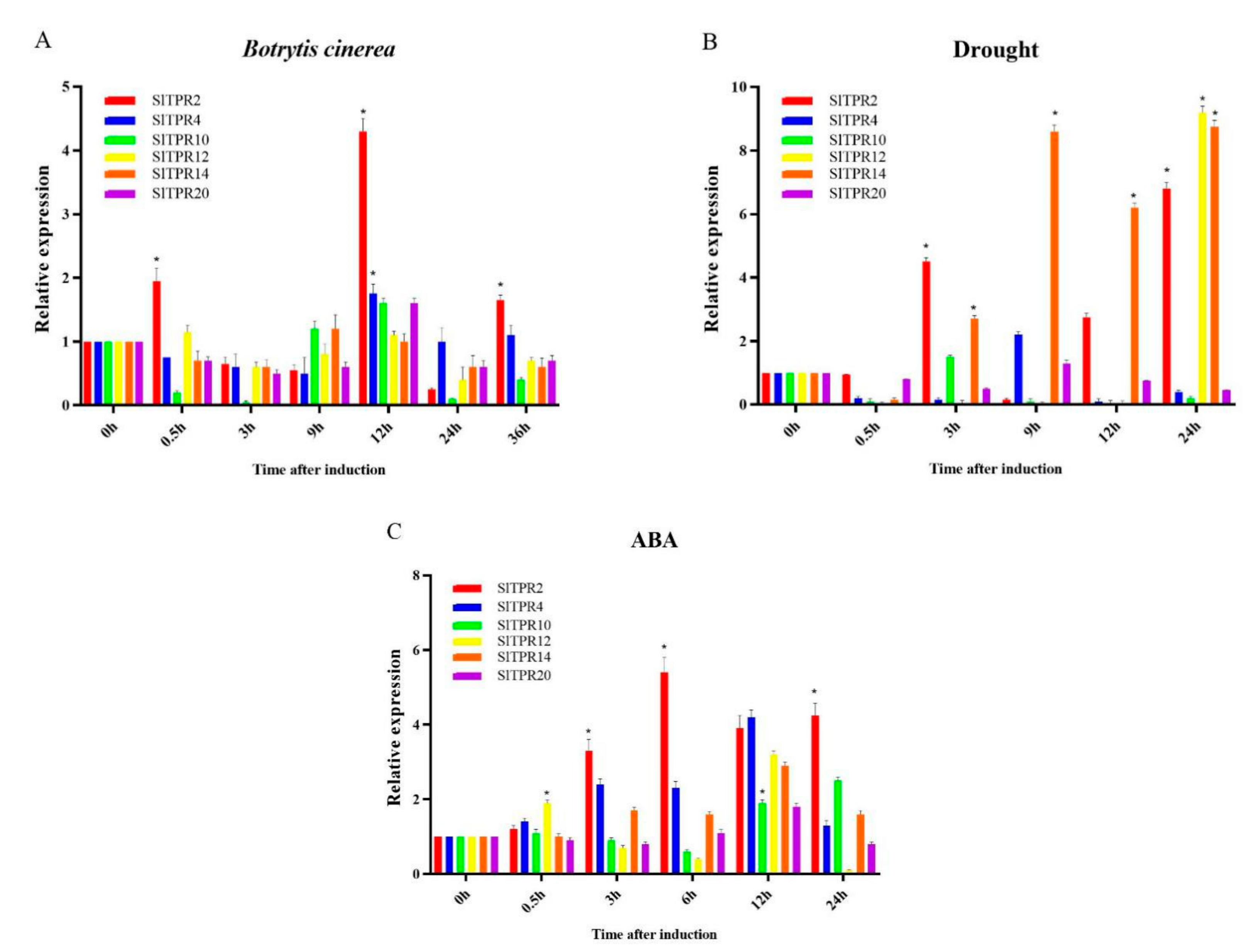 Ijms 22 00758 g004 Ijms 22 00758 g004