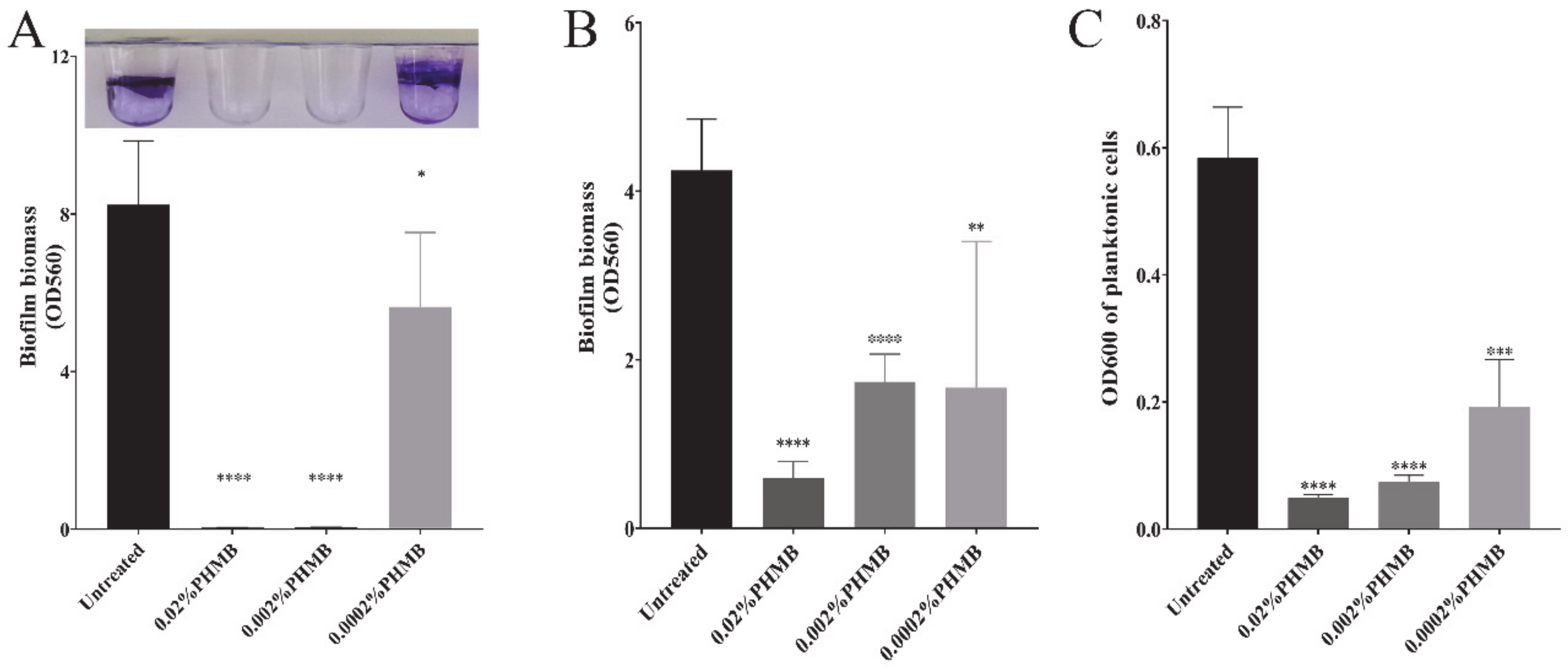 Ijms 22 00768 g001 Ijms 22 00768 g001