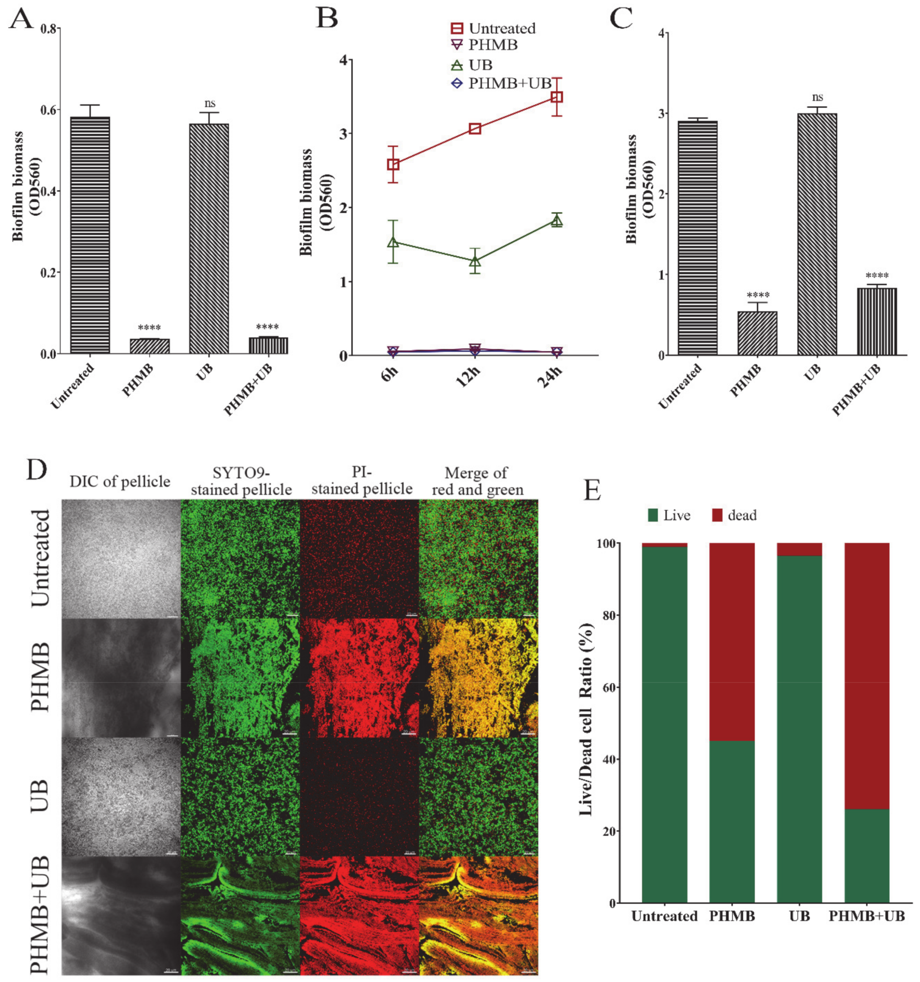 Ijms 22 00768 g002 Ijms 22 00768 g002