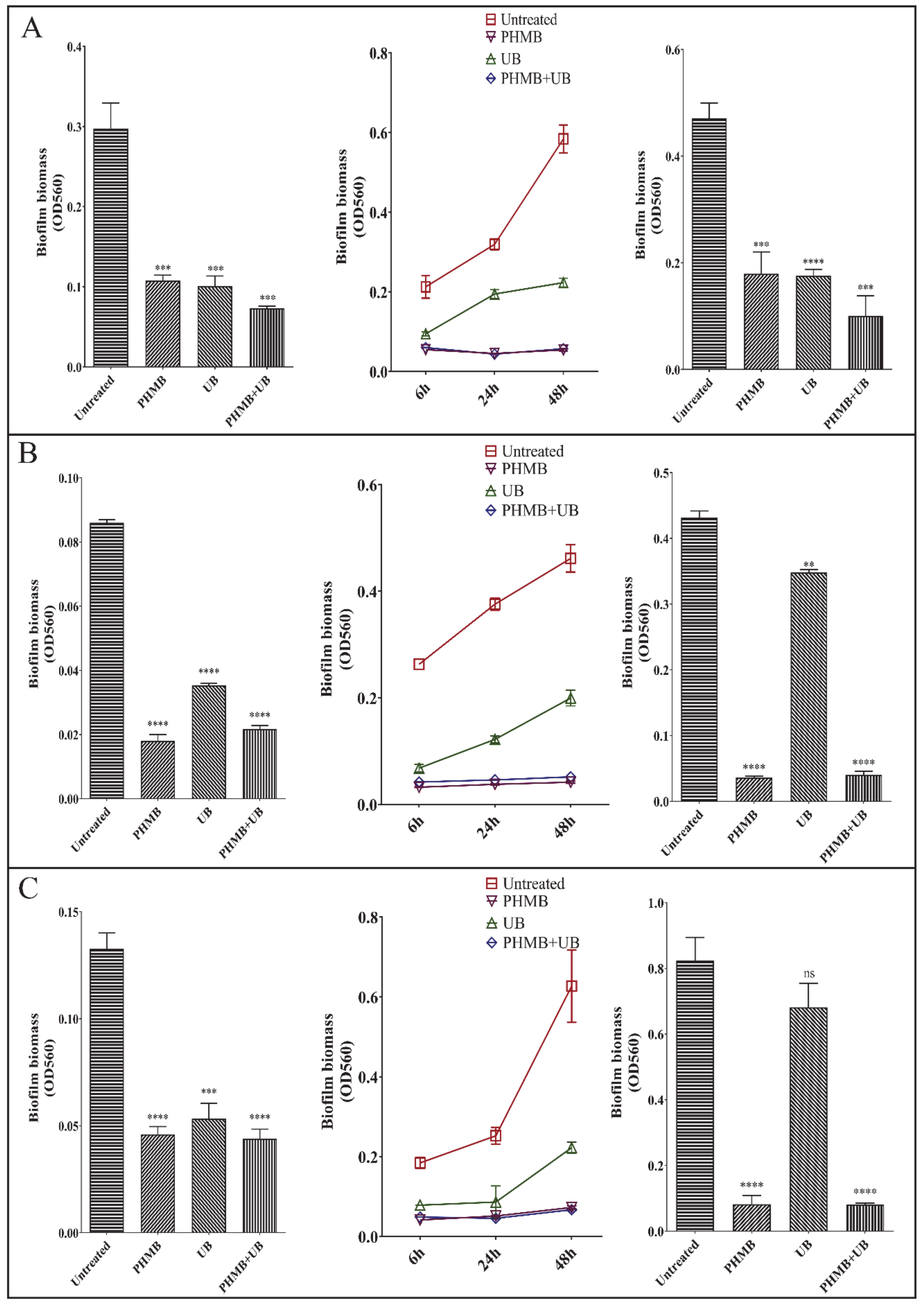 Ijms 22 00768 g004 Ijms 22 00768 g004