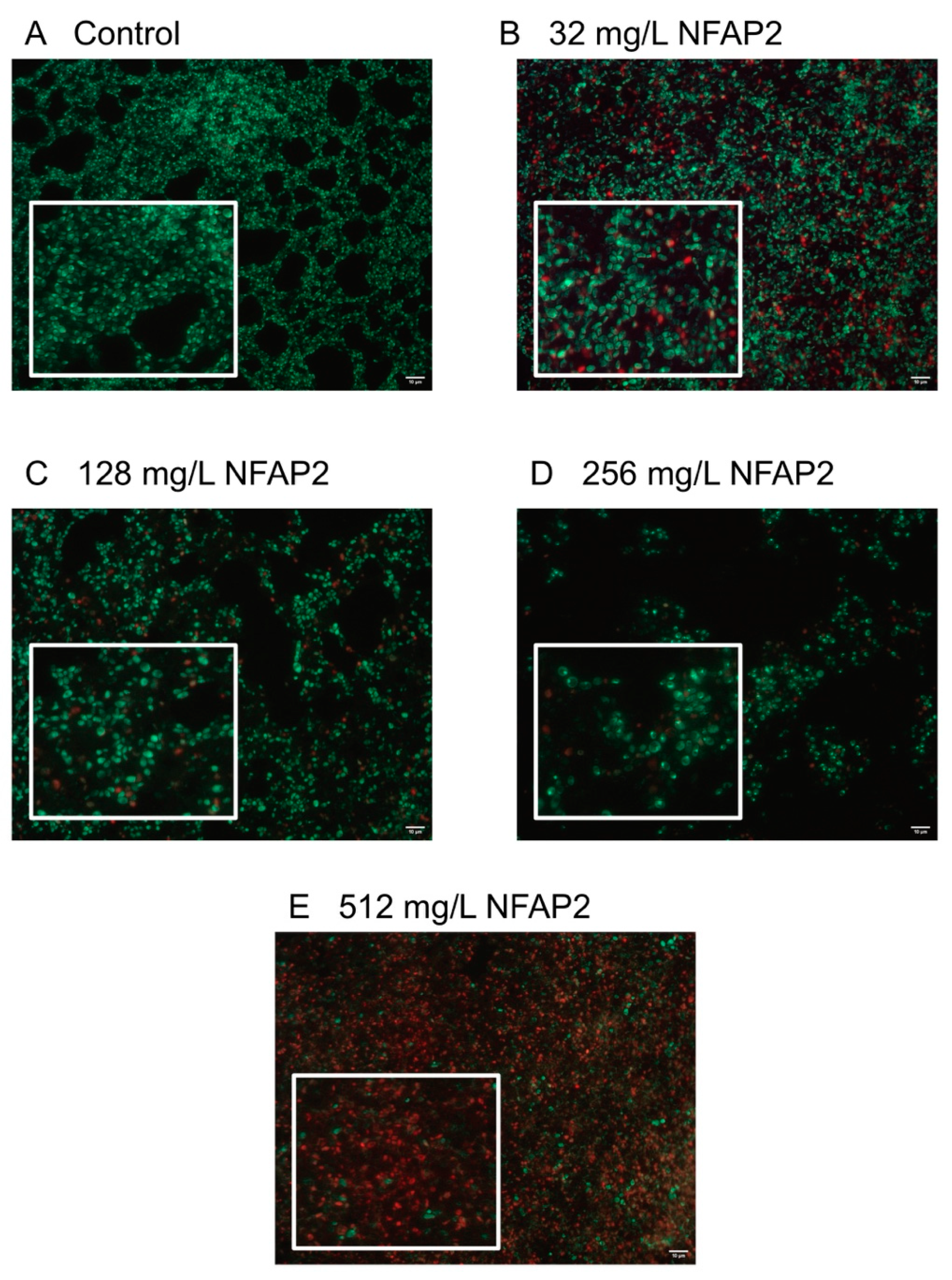 Ijms 22 00771 g002 Ijms 22 00771 g002