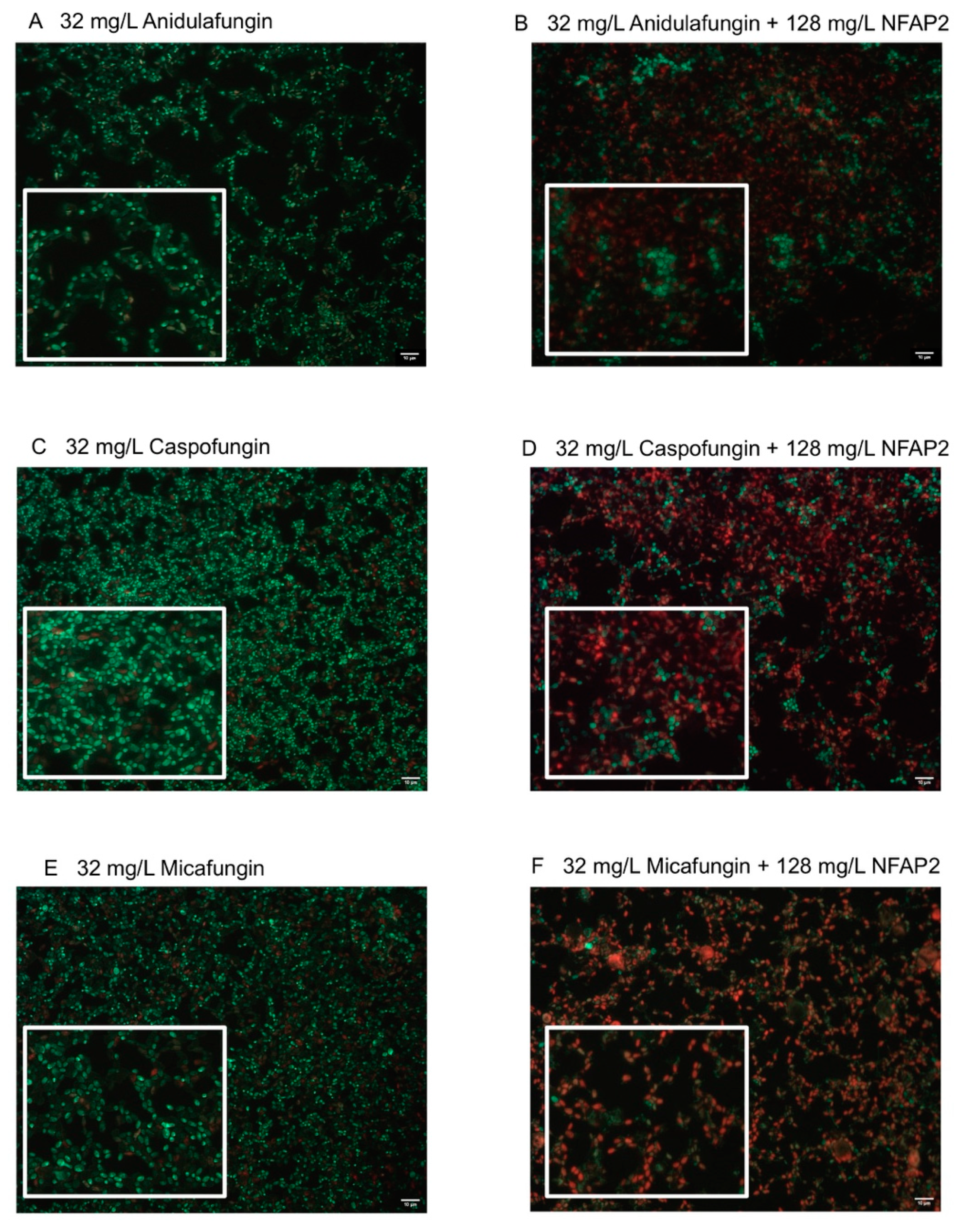 Ijms 22 00771 g003 Ijms 22 00771 g003