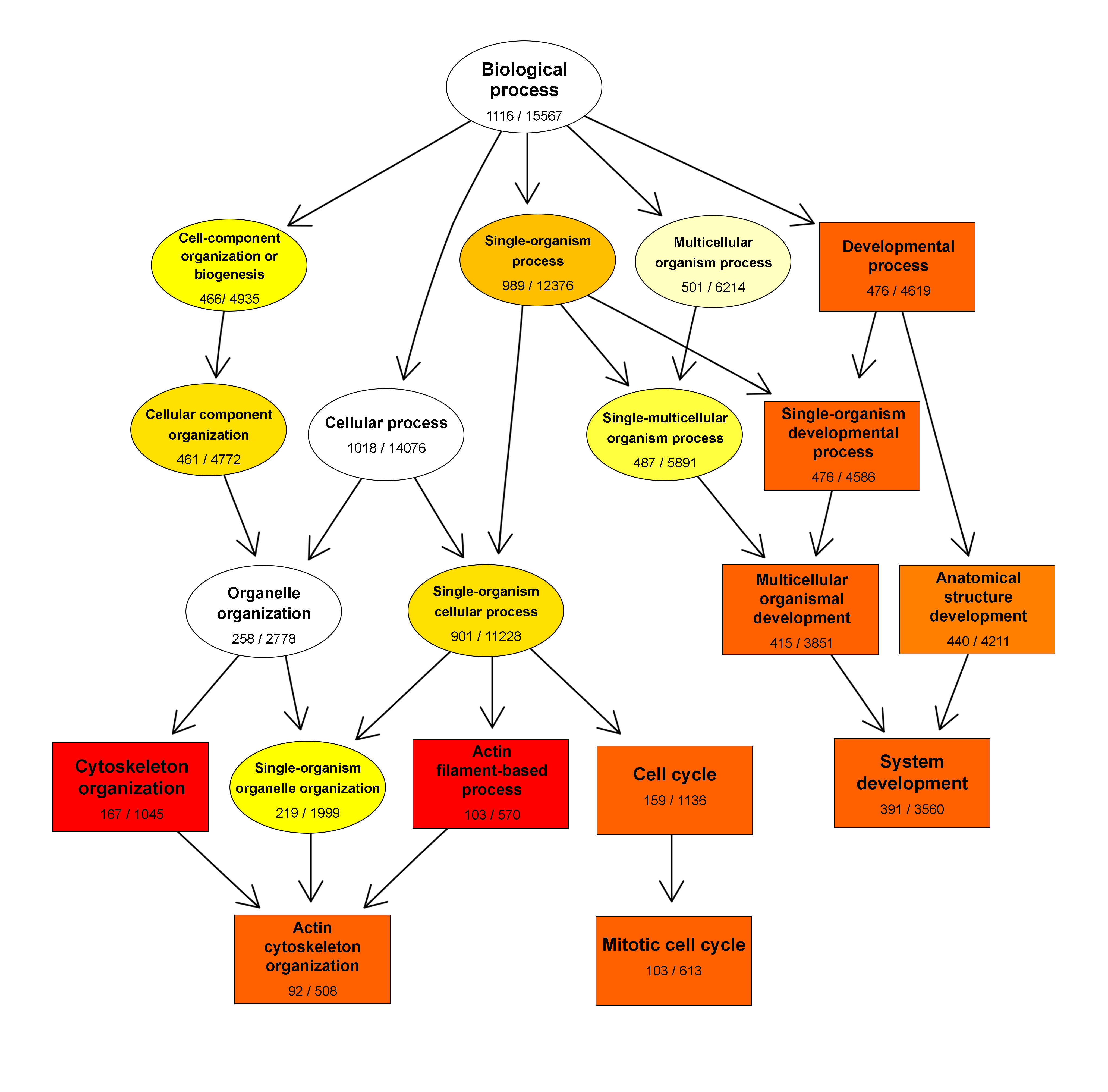 Ijms 22 00781 g004 Ijms 22 00781 g004