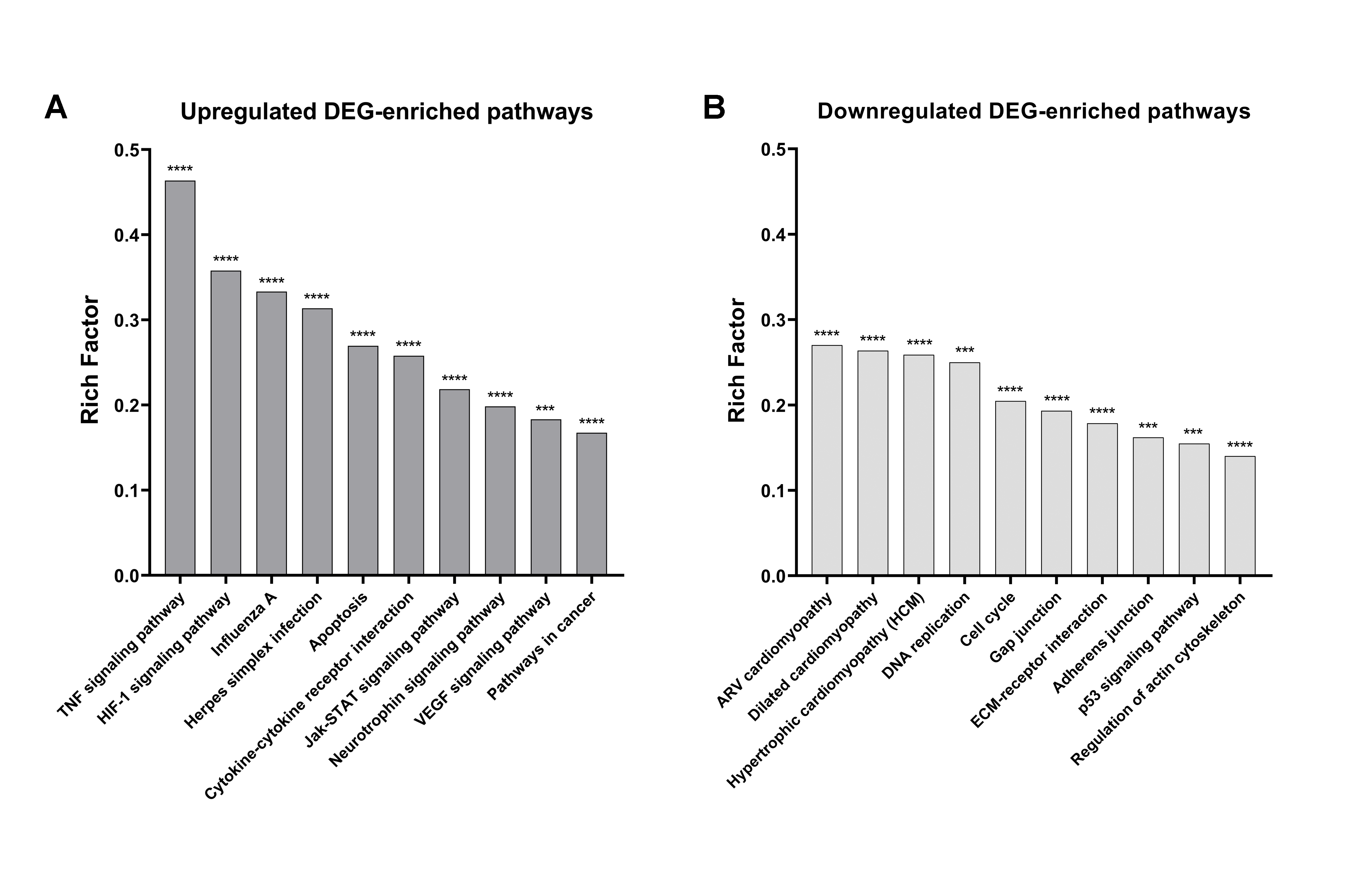 Ijms 22 00781 g005 Ijms 22 00781 g005