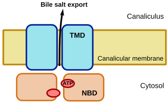 Ijms 22 00784 g001 550