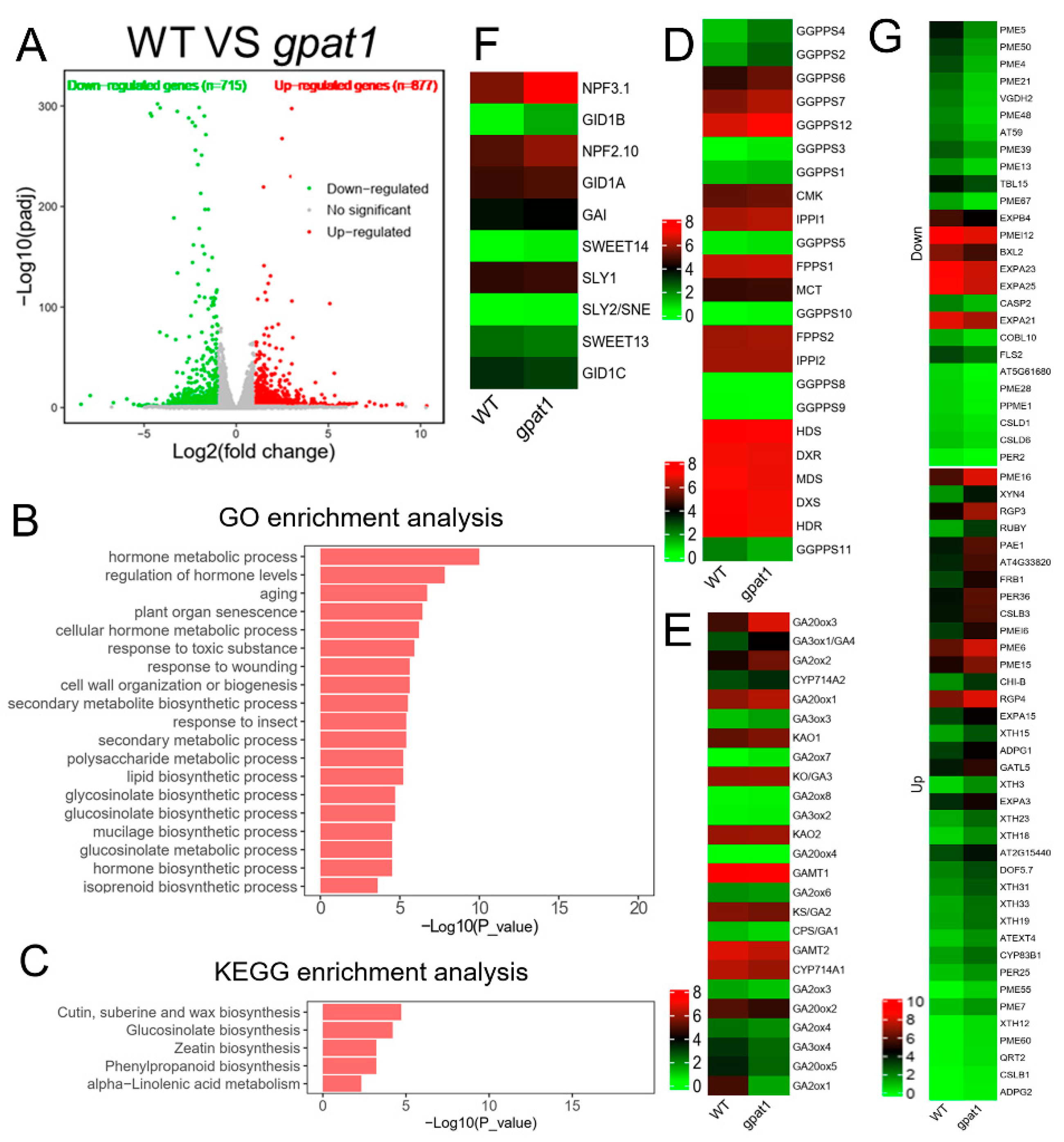 Ijms 22 00785 g006 Ijms 22 00785 g006