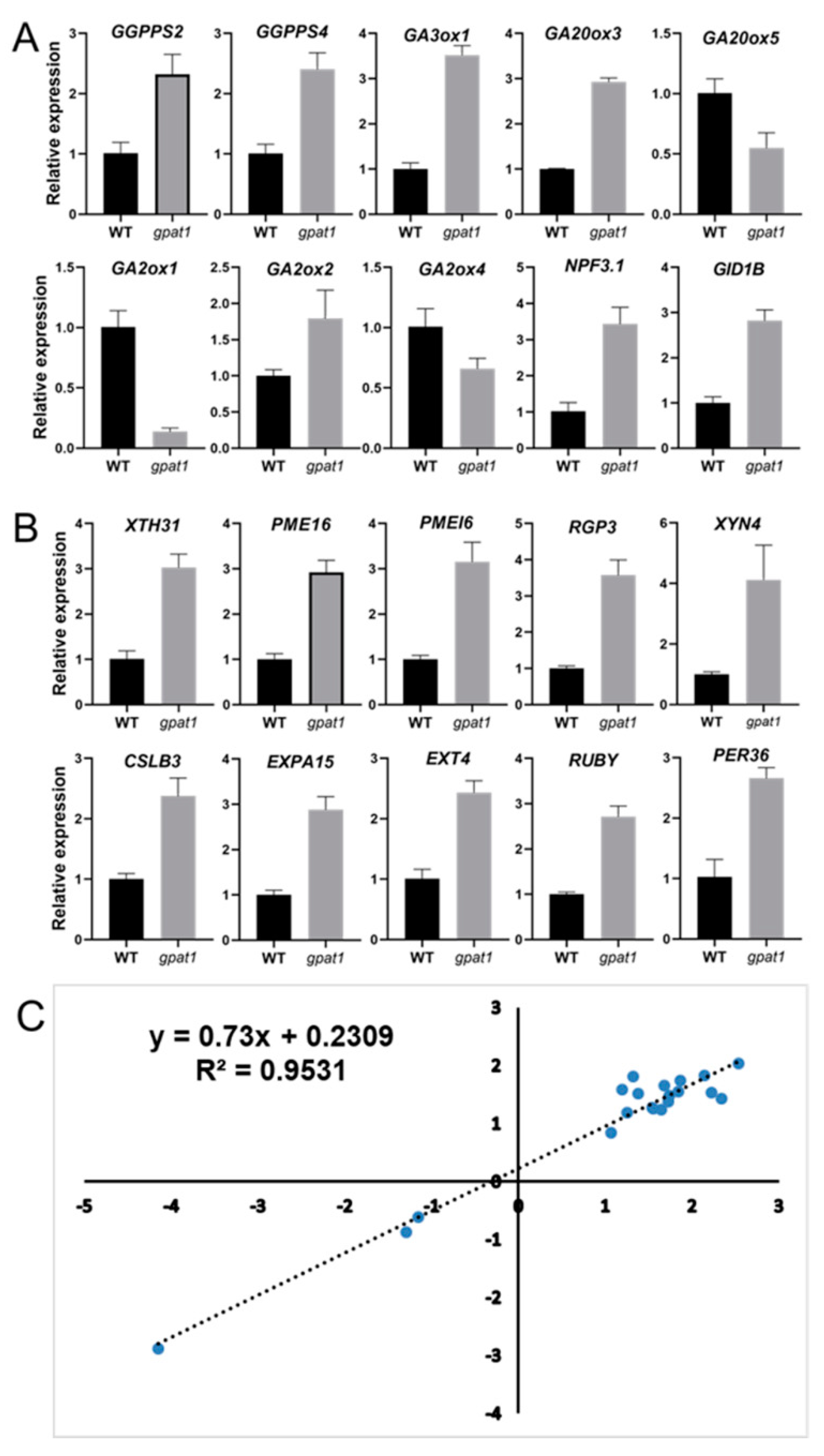 Ijms 22 00785 g007 Ijms 22 00785 g007