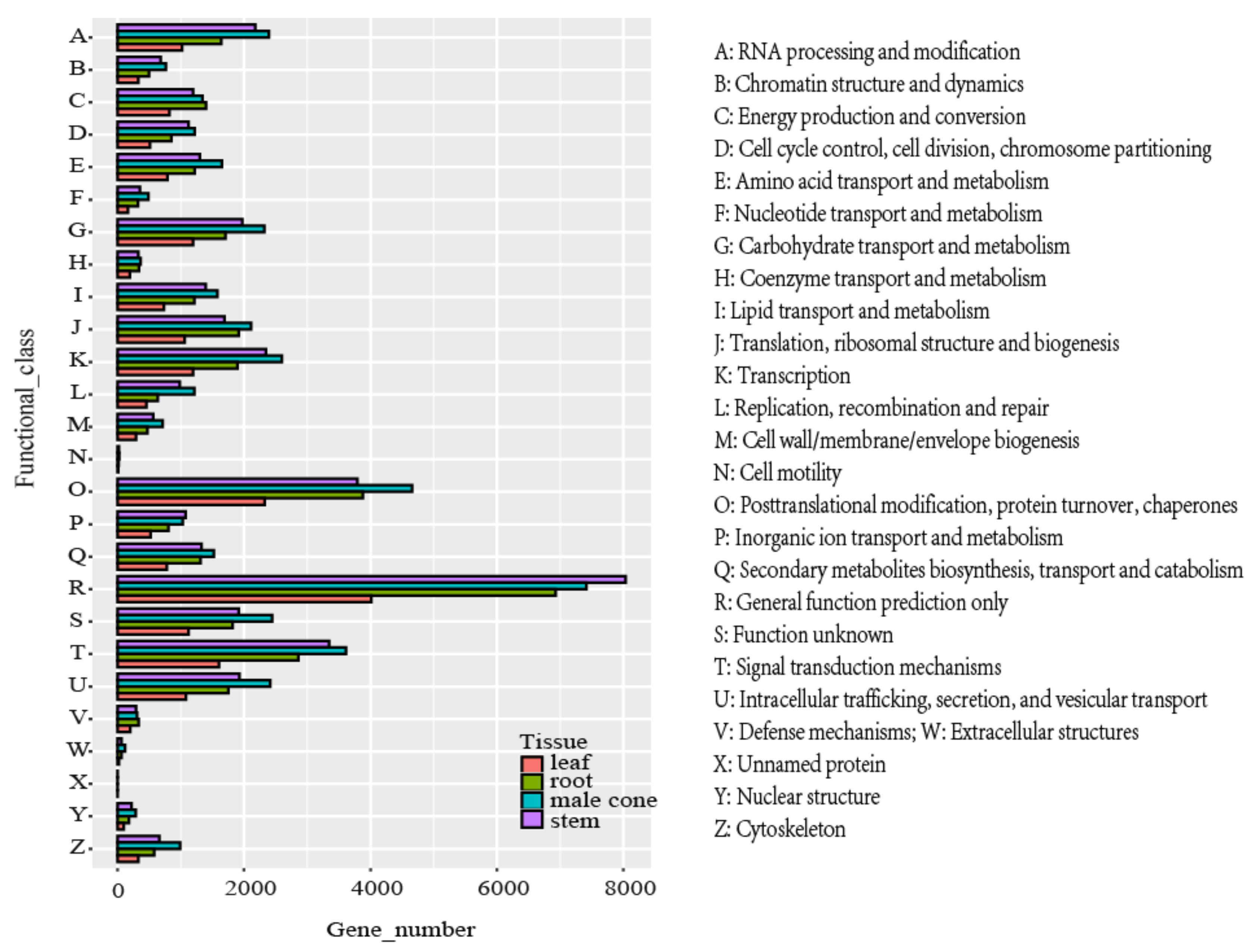 Ijms 22 00787 g001 Ijms 22 00787 g001