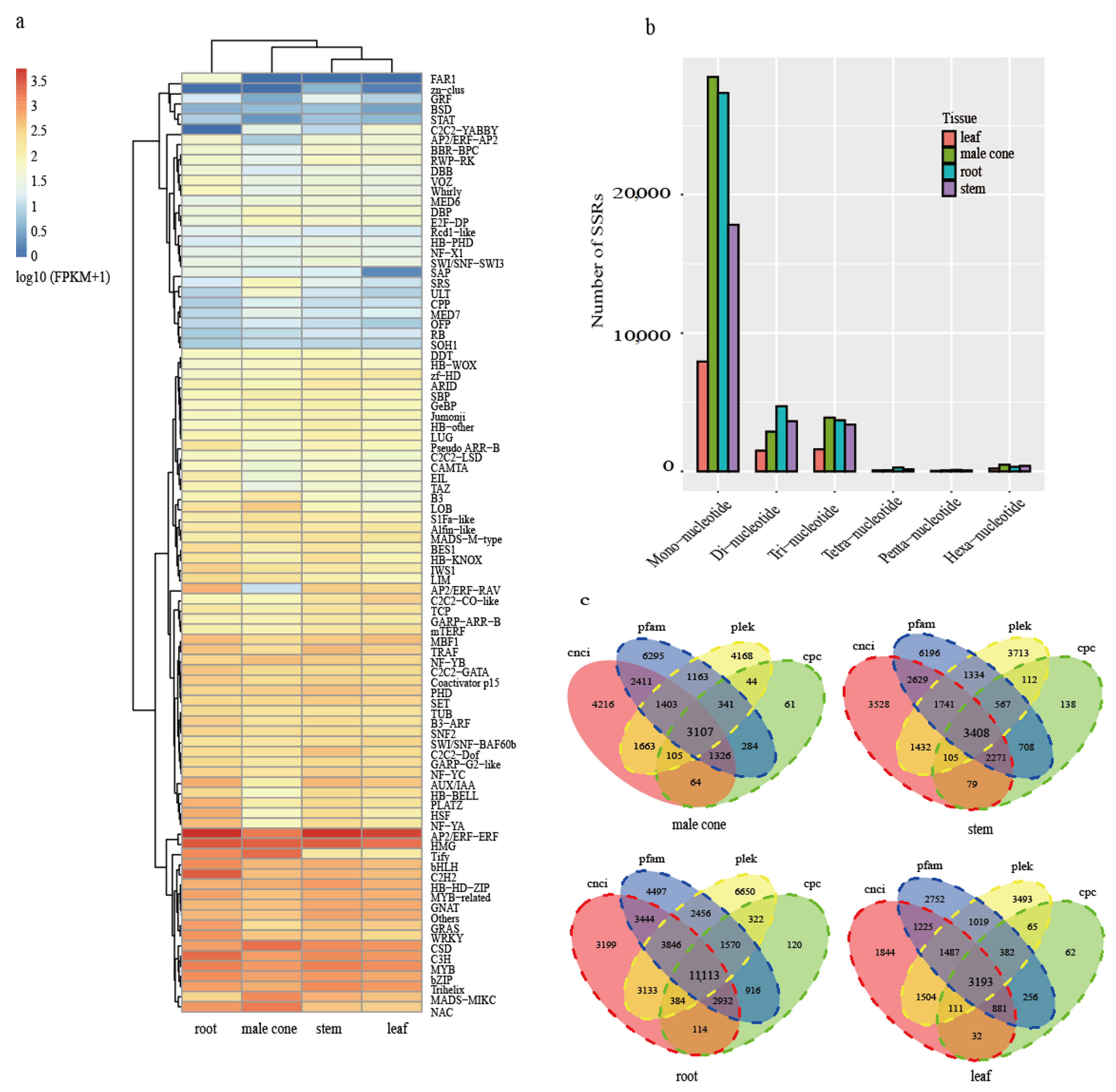 Ijms 22 00787 g002 Ijms 22 00787 g002