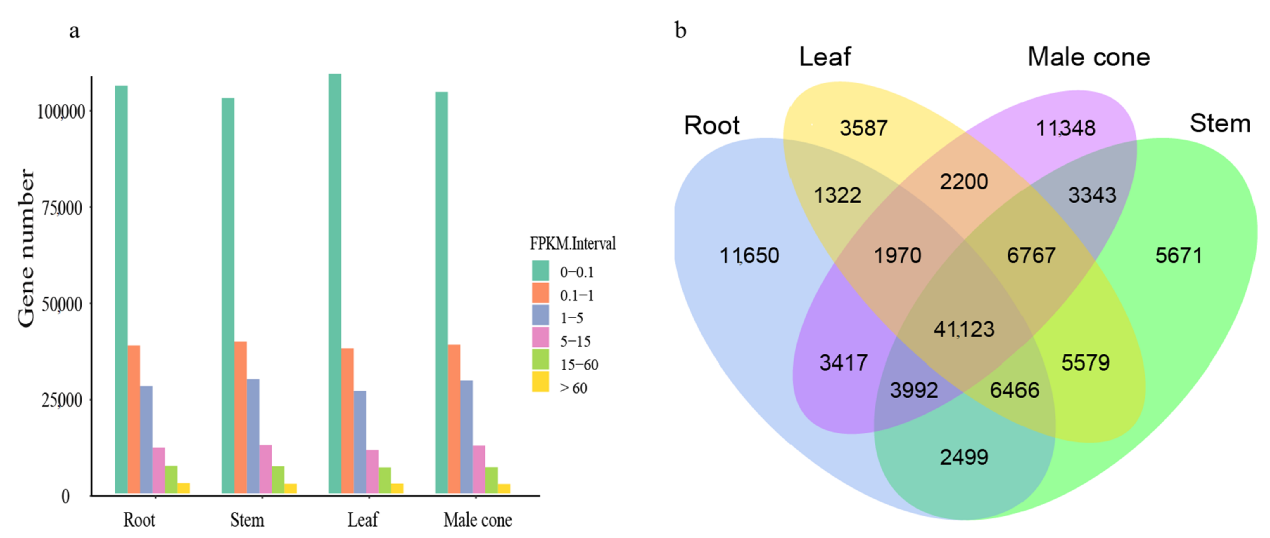 Ijms 22 00787 g003 Ijms 22 00787 g003