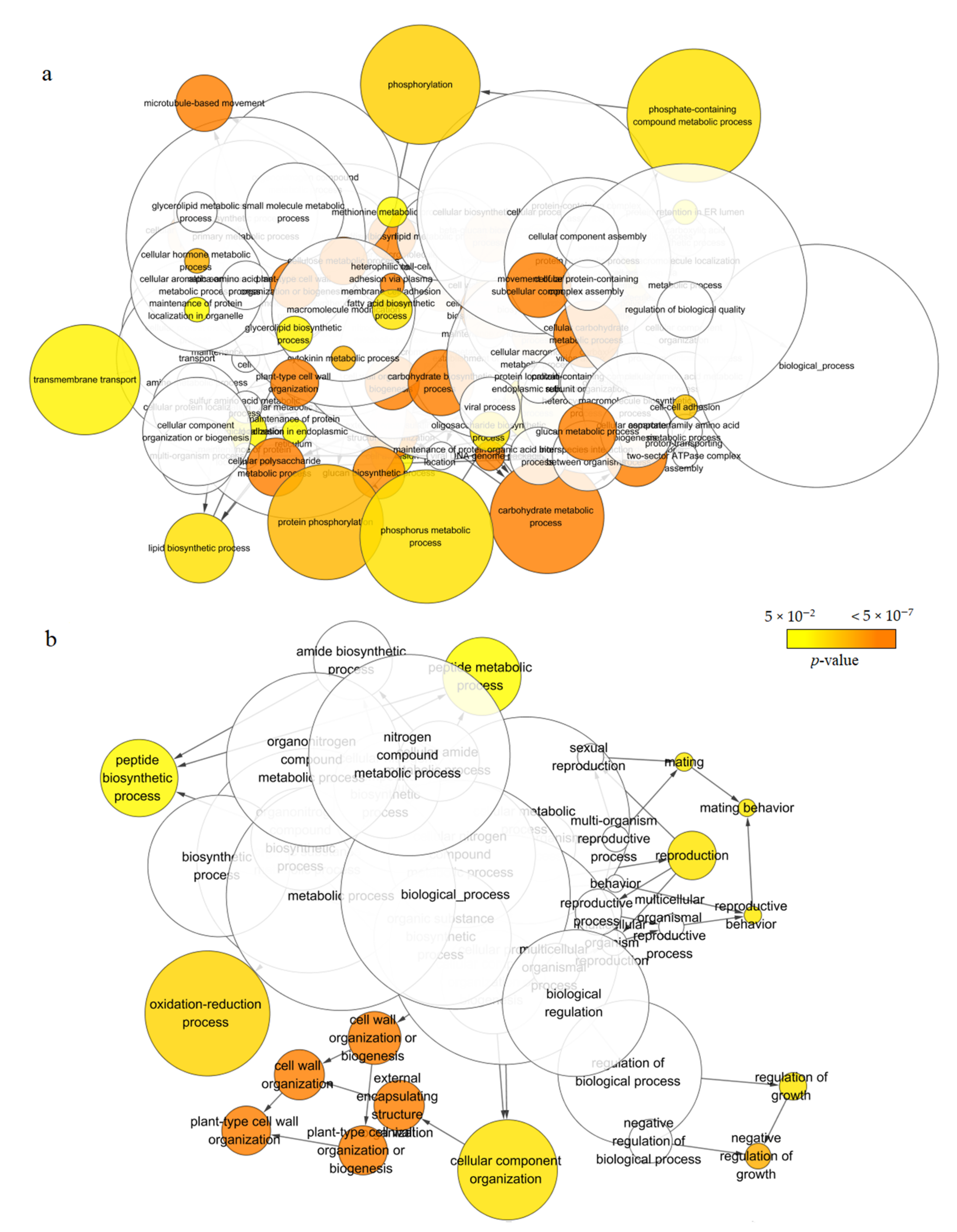 Ijms 22 00787 g004 Ijms 22 00787 g004