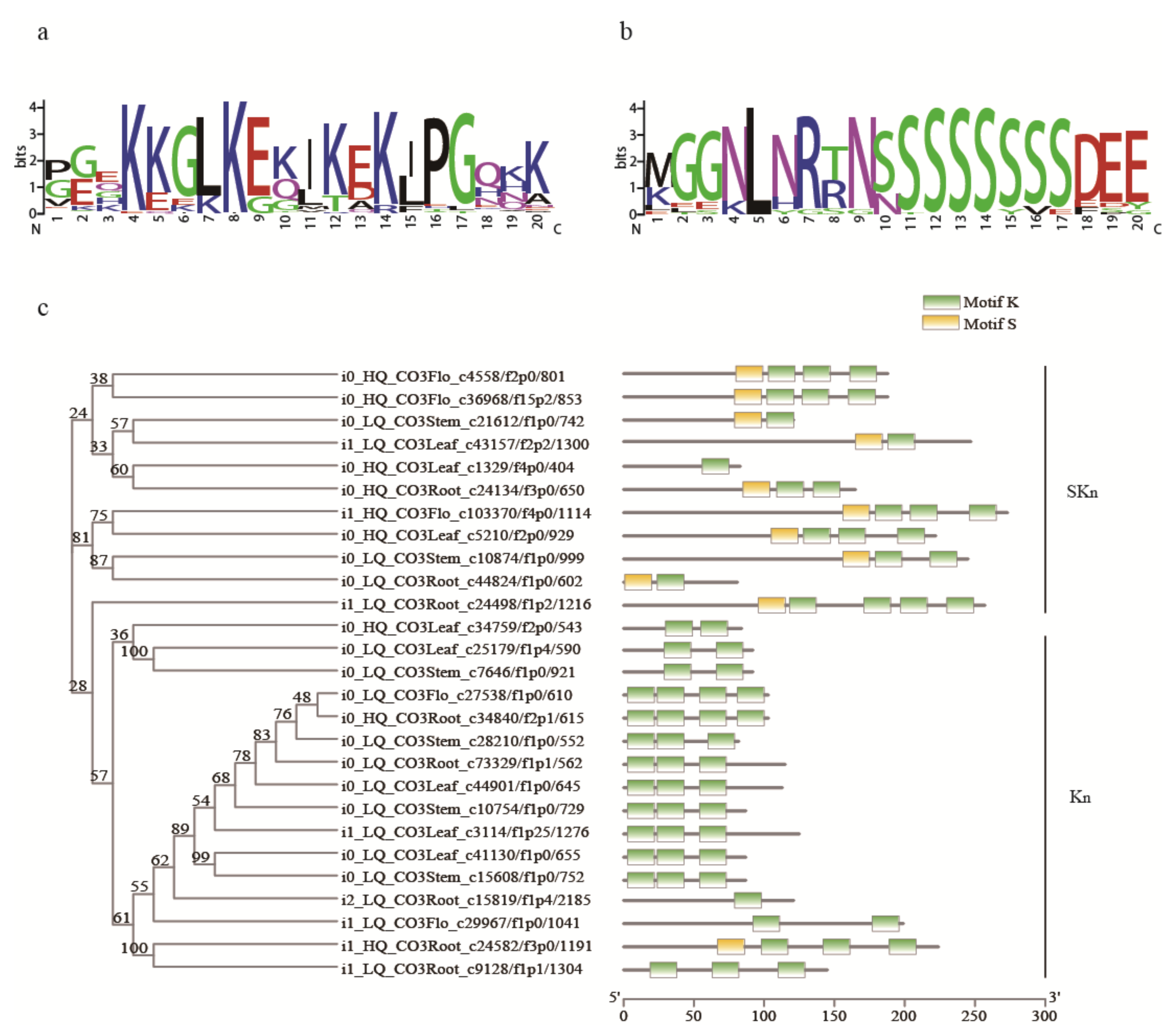 Ijms 22 00787 g006 Ijms 22 00787 g006