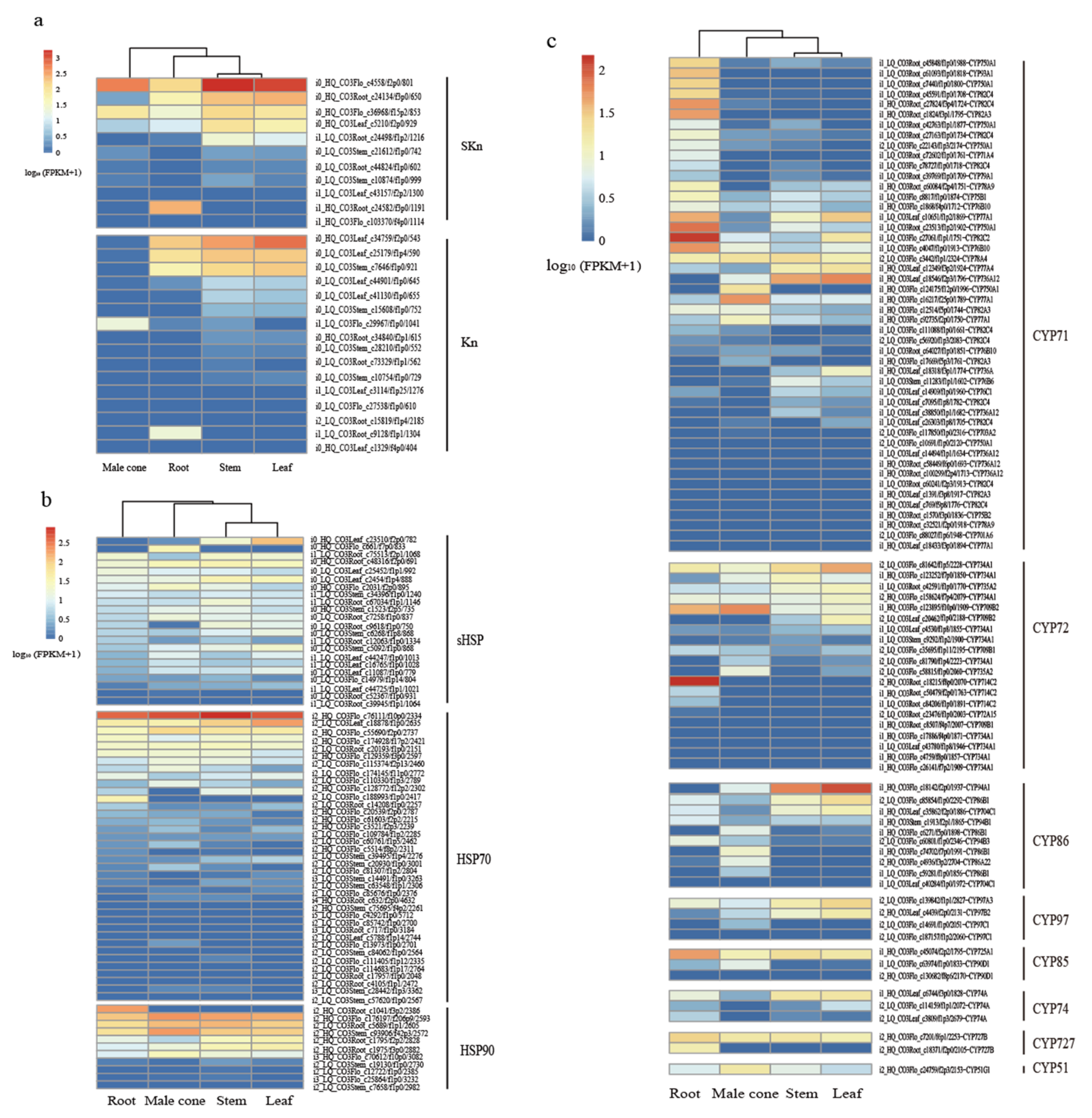 Ijms 22 00787 g007 Ijms 22 00787 g007